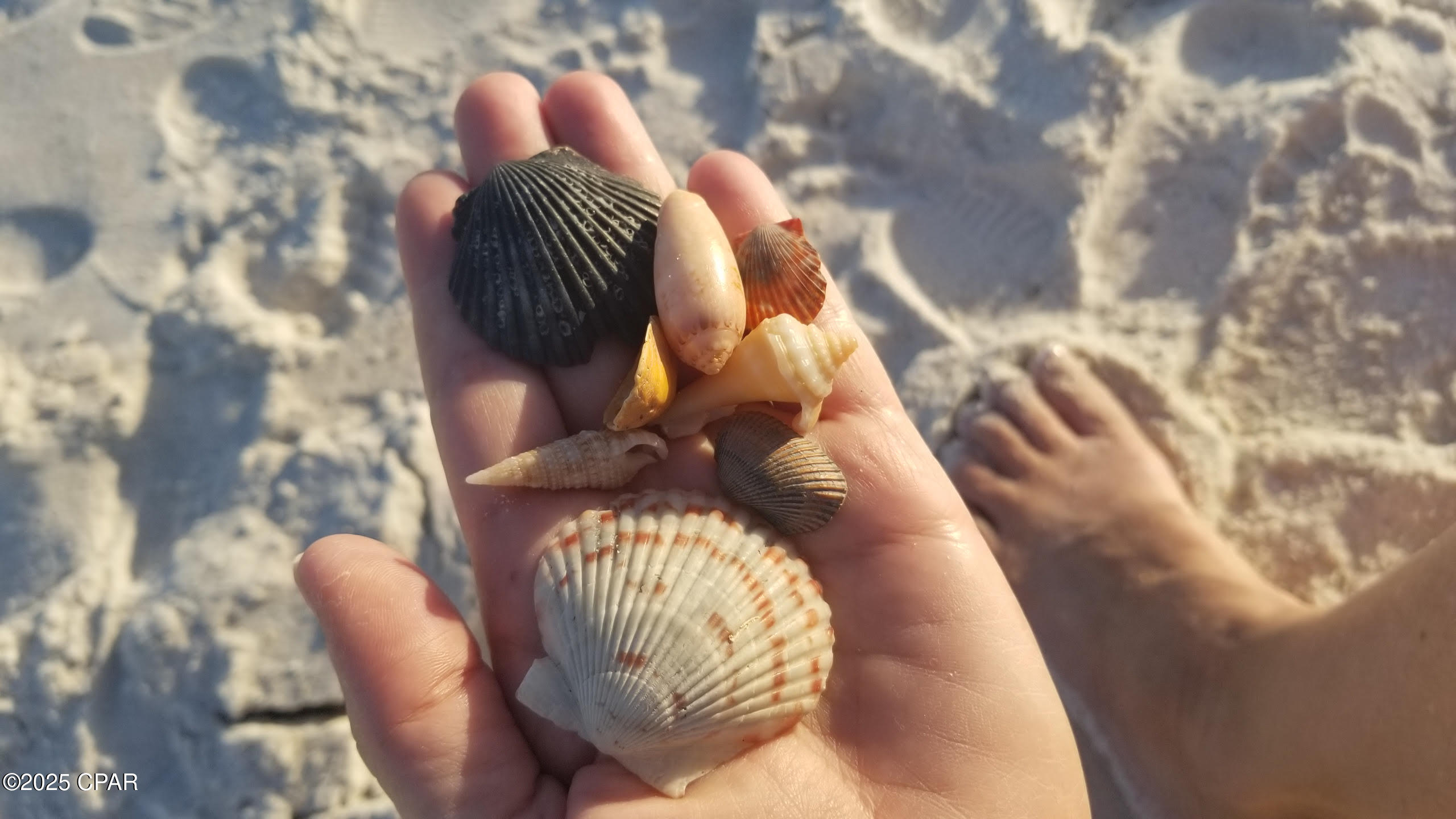 1enemhkrnz0cbfzufetx4mgzrxogmtuqfcbpgu1gazk