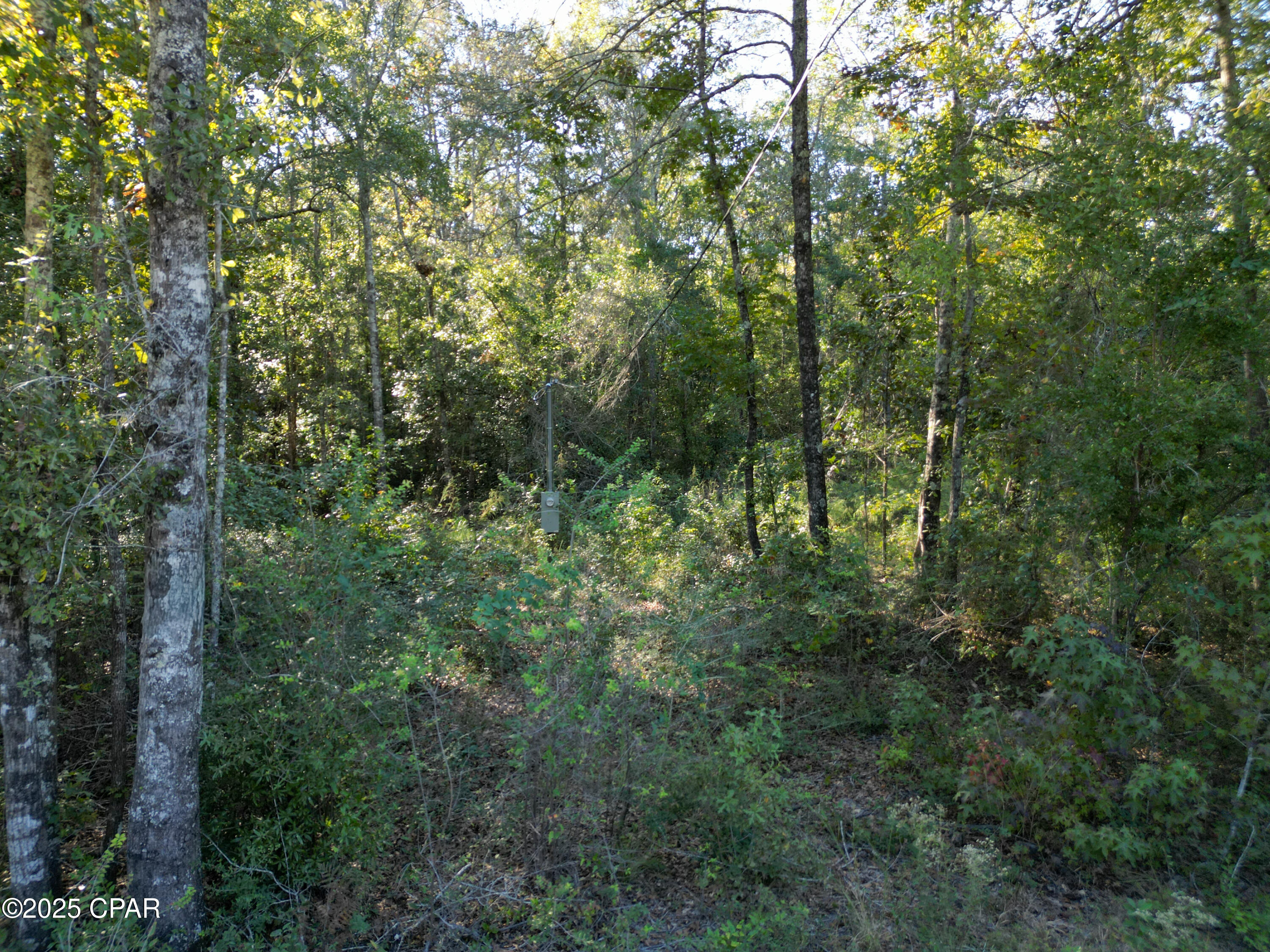 I0lypliunyvuer8rguti1nenlrbmenzbrukgahauxsm