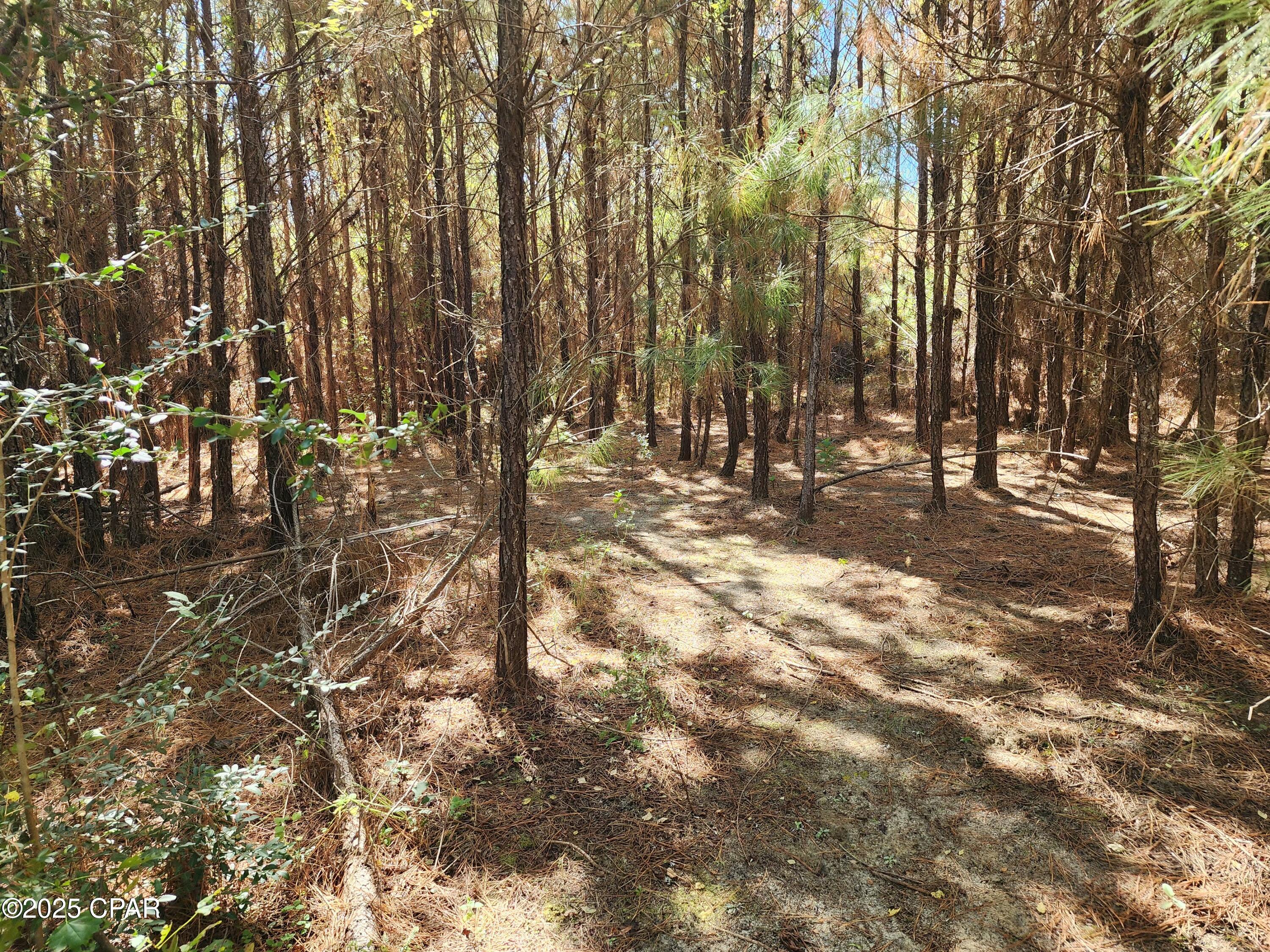 Bcgb7kht X 85widfcp9rwrqqvugqsbq3w38z4napem