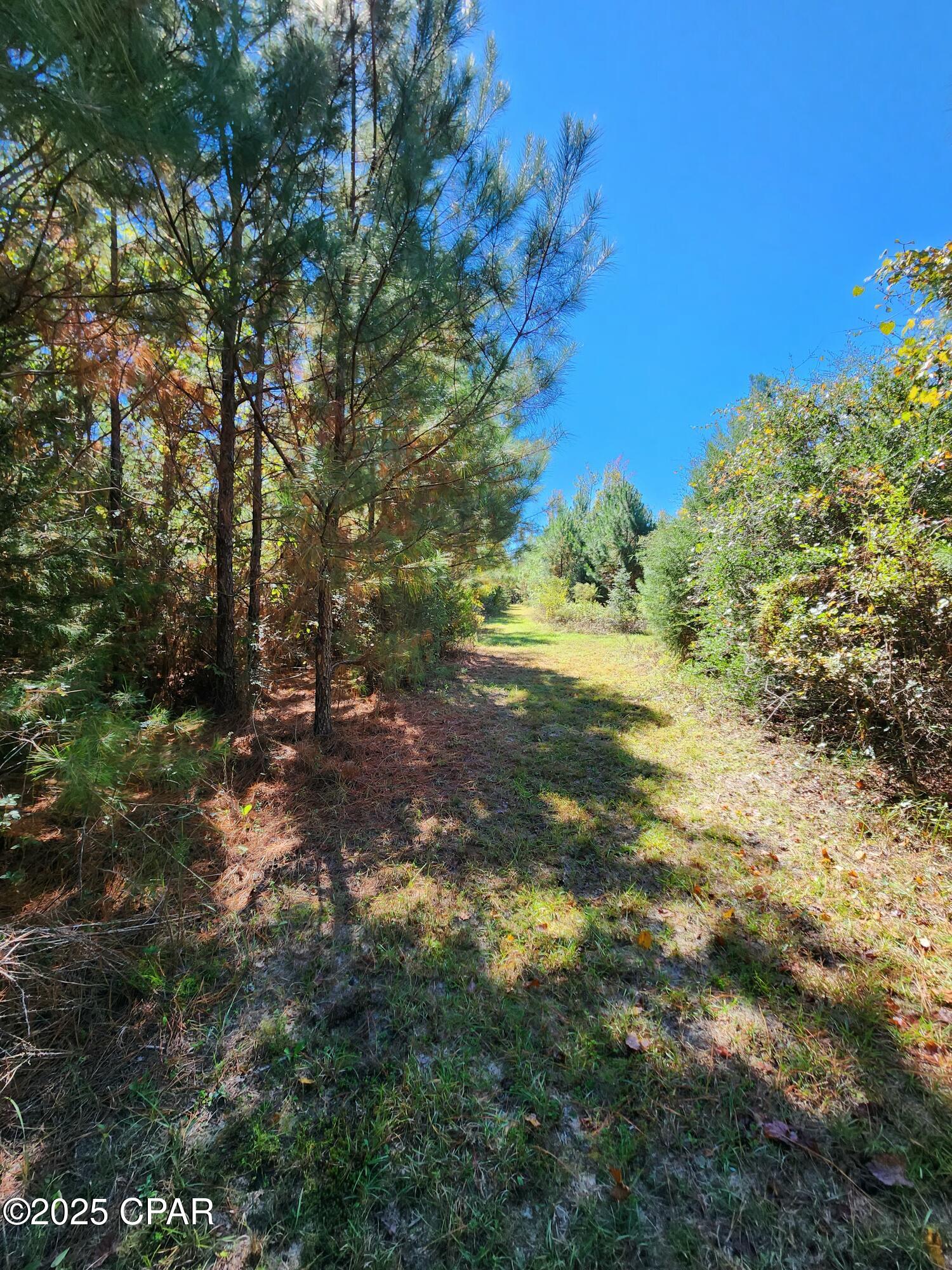 3ne8h1fbhv Syy6fmfqjesatdkefxs6lrntetdwuxcq