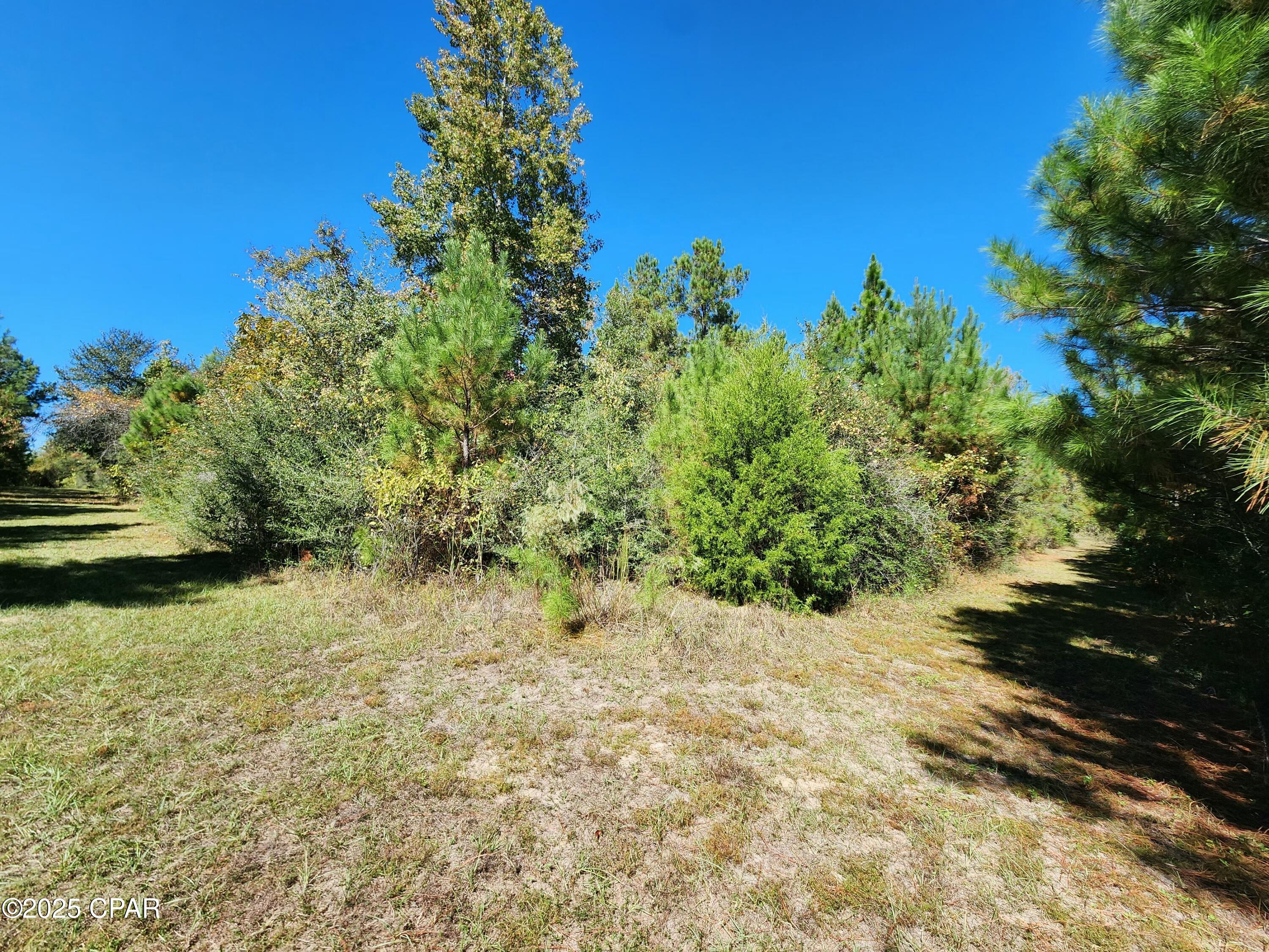 Ddgxtzxmfrf Mriocyjtrsca2qoz34lzw Gixq8c_be