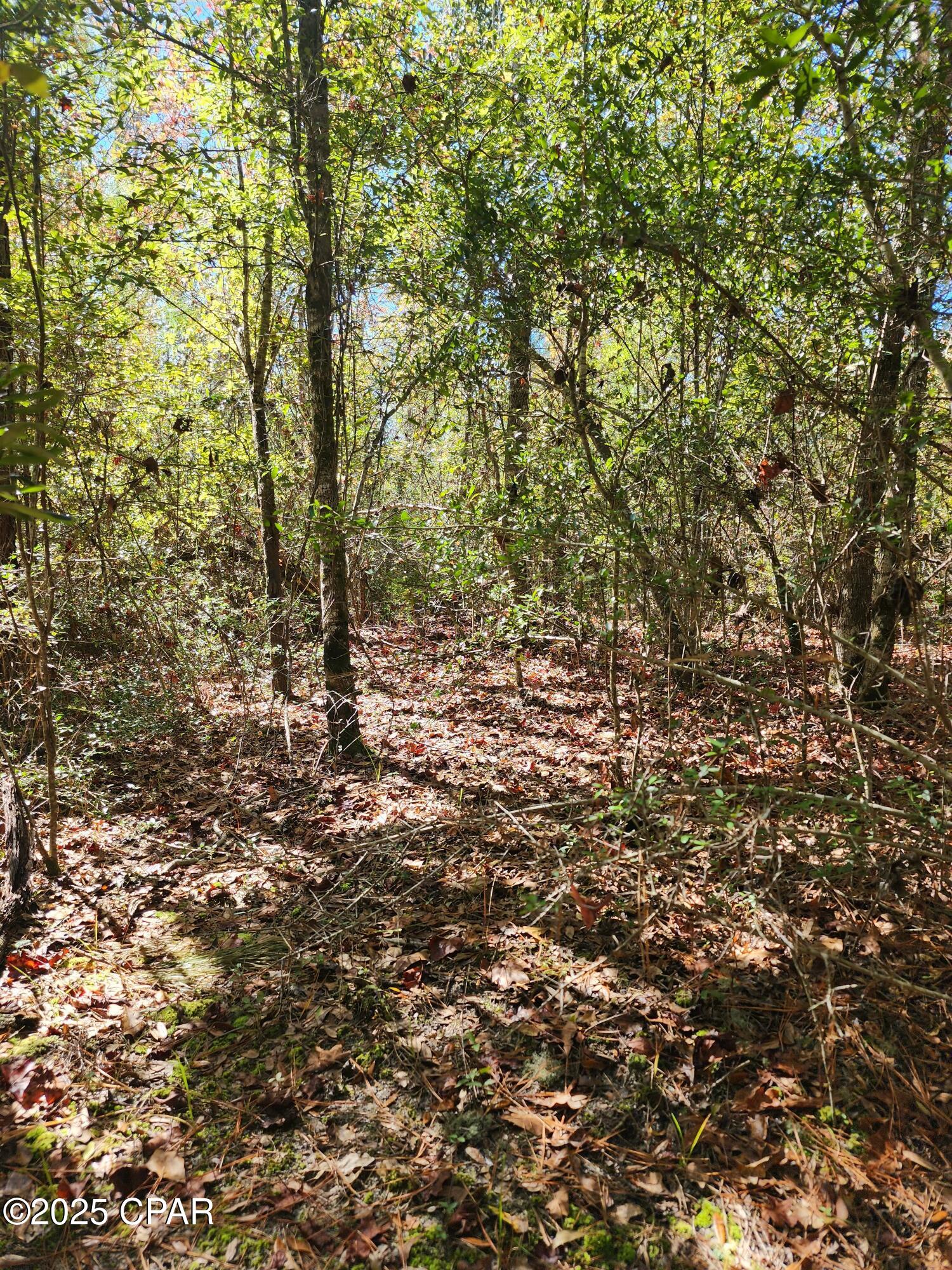 Vvkkyuj4lrt0qsptd Cgtjs5byfg5ftdu6nabtj2aye