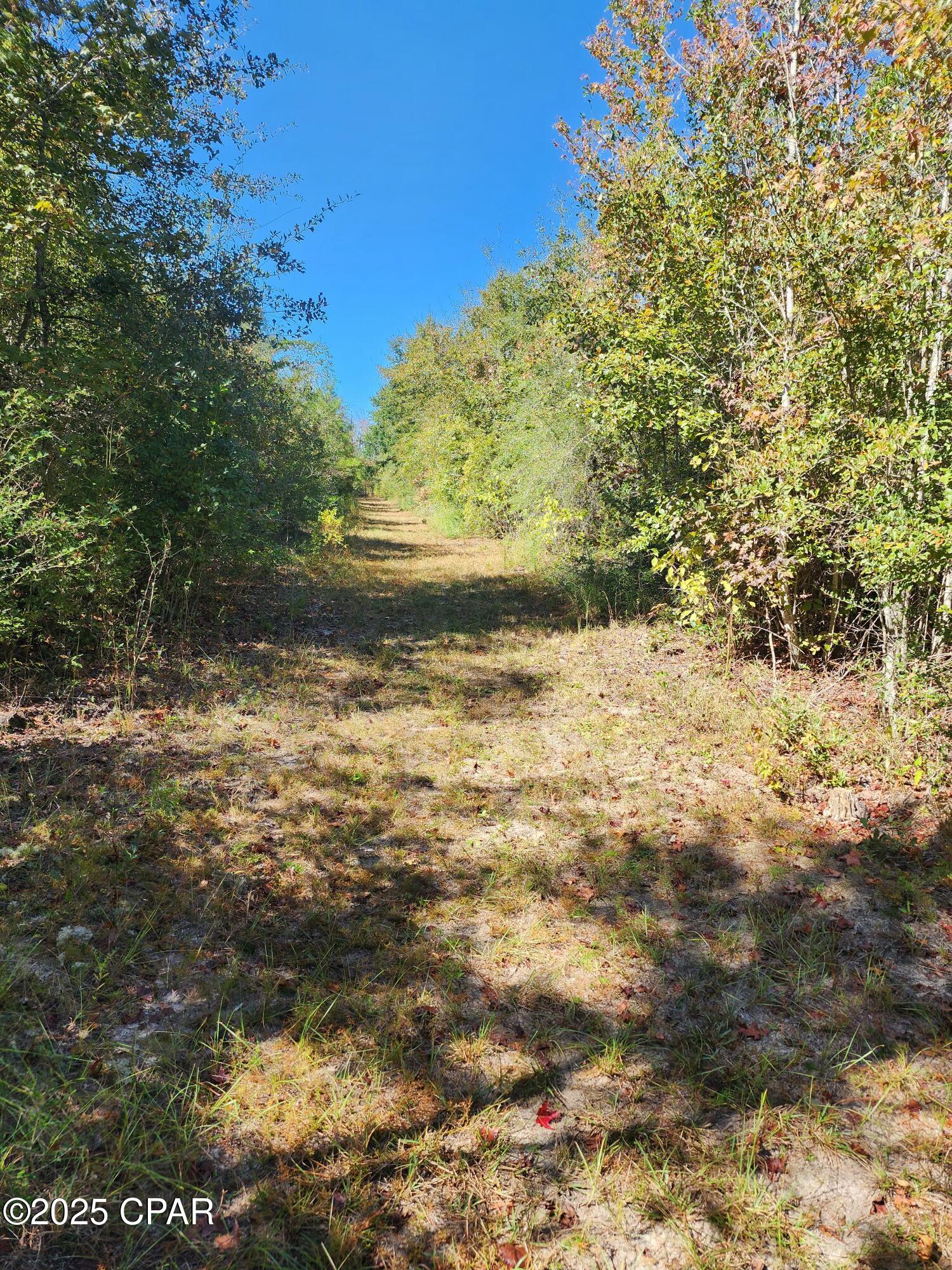 O99fpij_yeeejzucscryndqle8n Xcgnck Tkpkd1t0