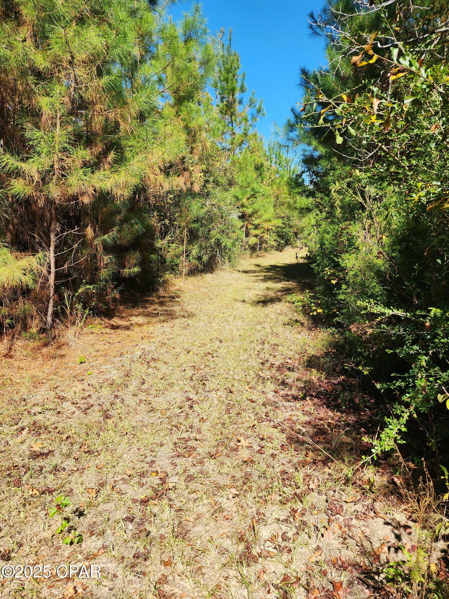 Cqwngydxstvxnafrngmc9ormepwukjd4 1lysrkx5cs