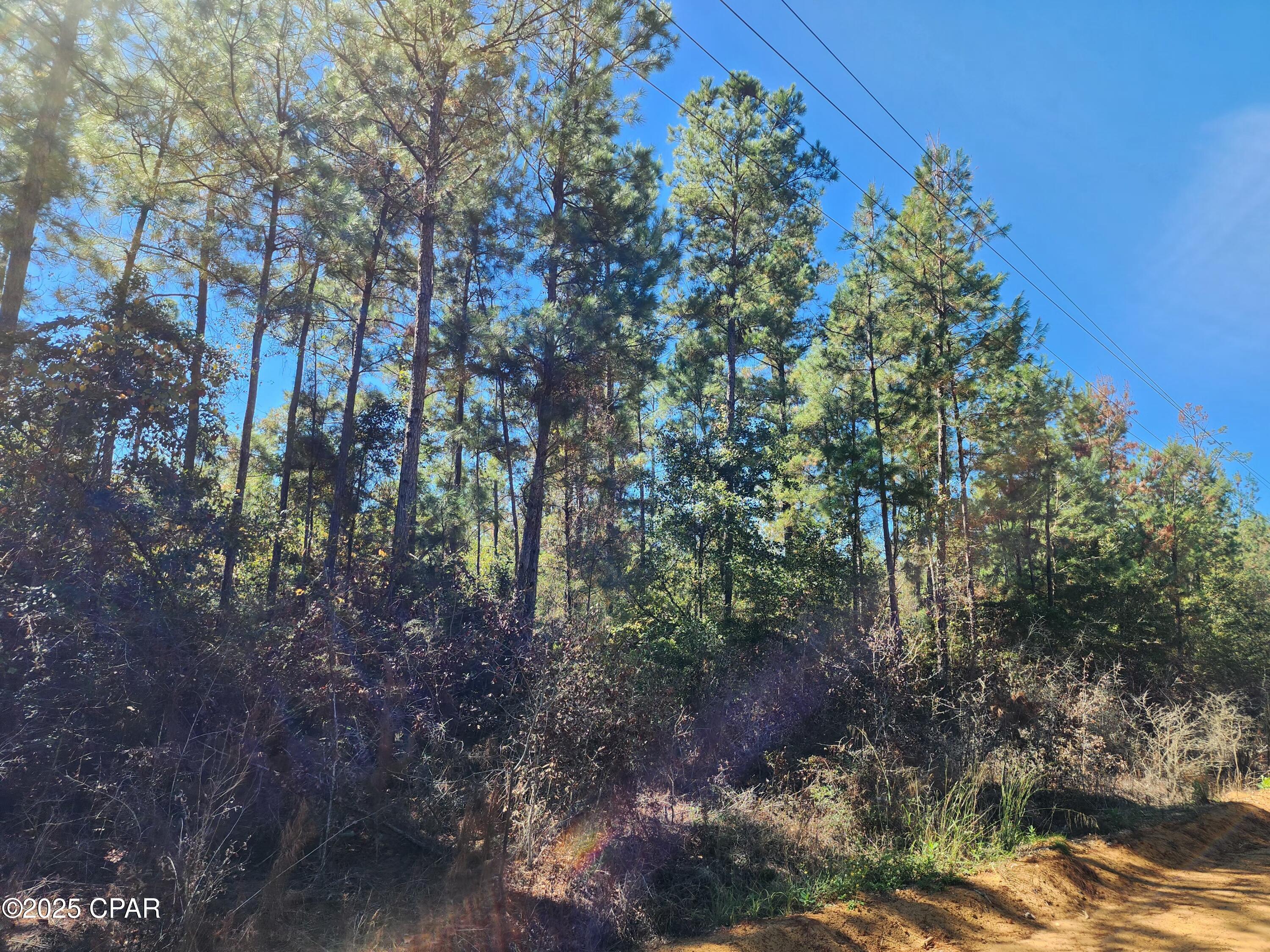 Vzspvgzswy4sbqkfjqksd2d2oxuru1nkmk3gank92s4