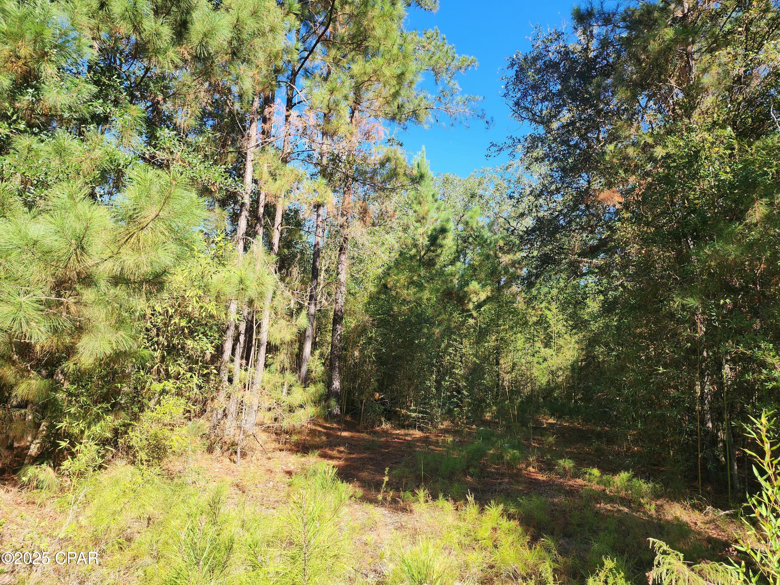 Vxgcr_wymz4shprfue4rnrhacwmhpqku5e2tyana8tk