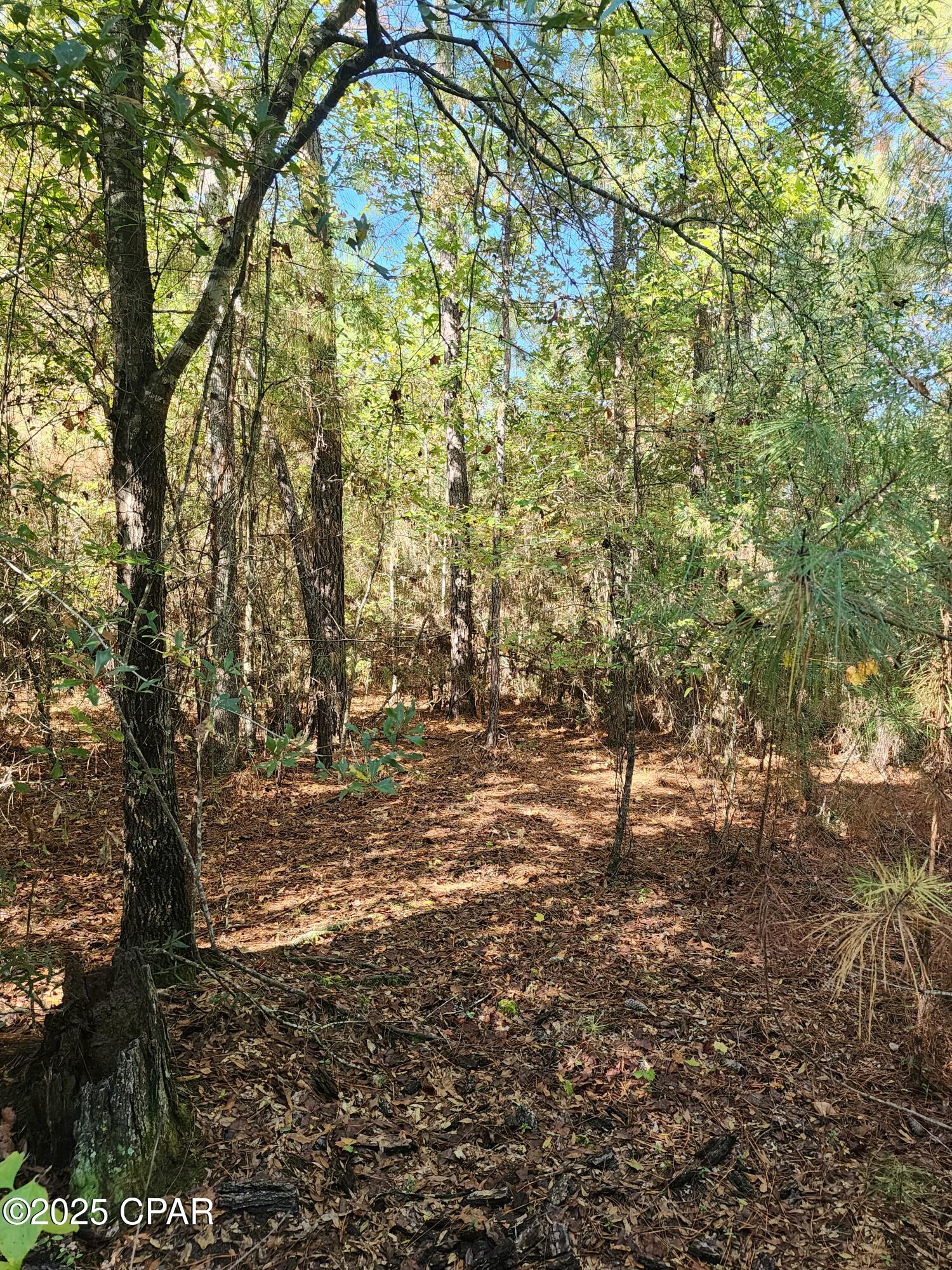 Ncvxezqwmkwrtw0jmynvzgyvdcz0ywl9ou5dazh5cl8