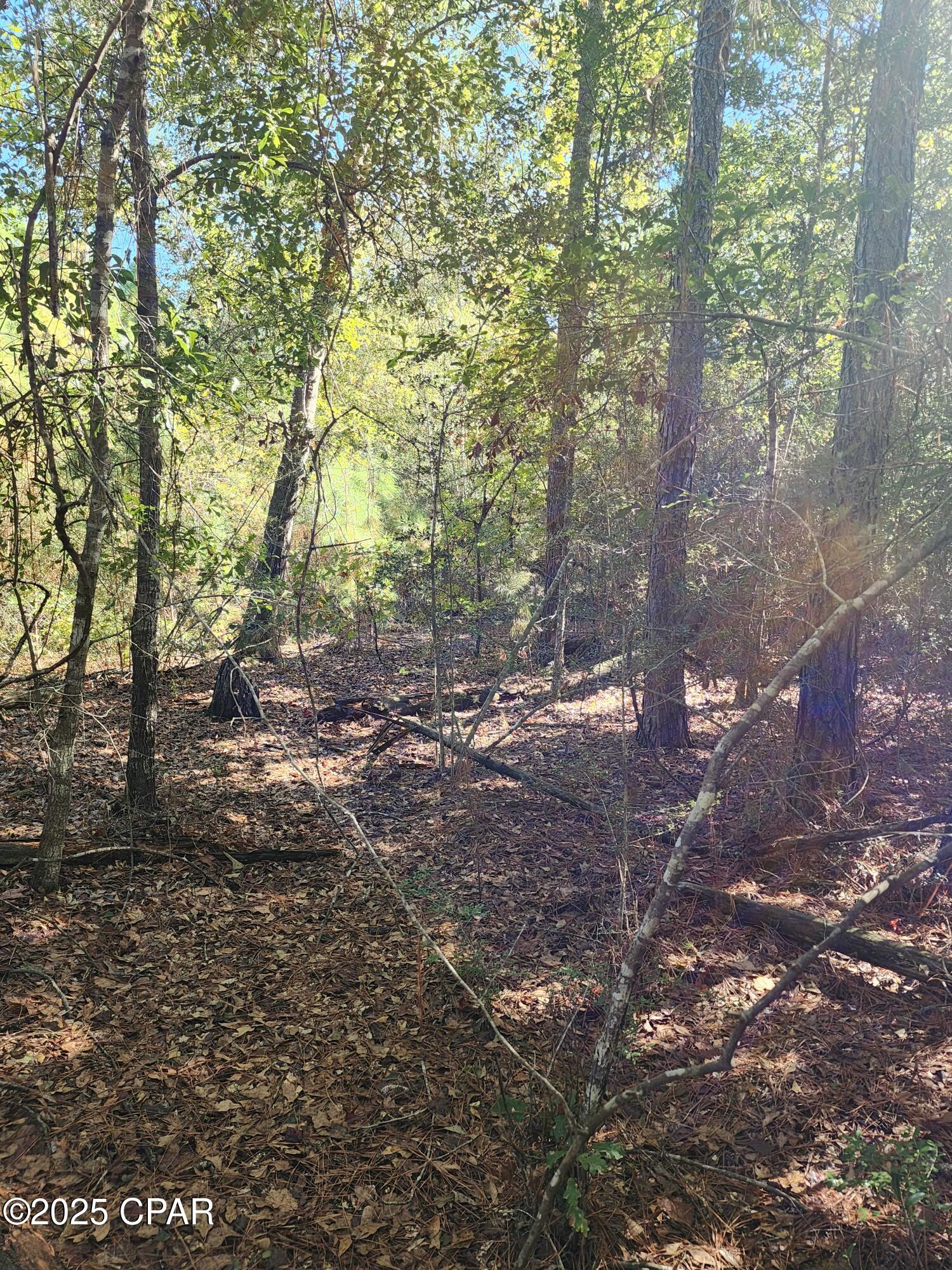 Mbq7fcavfvhrvp1oyvp2mzexzohutpnf9k99skqafoy