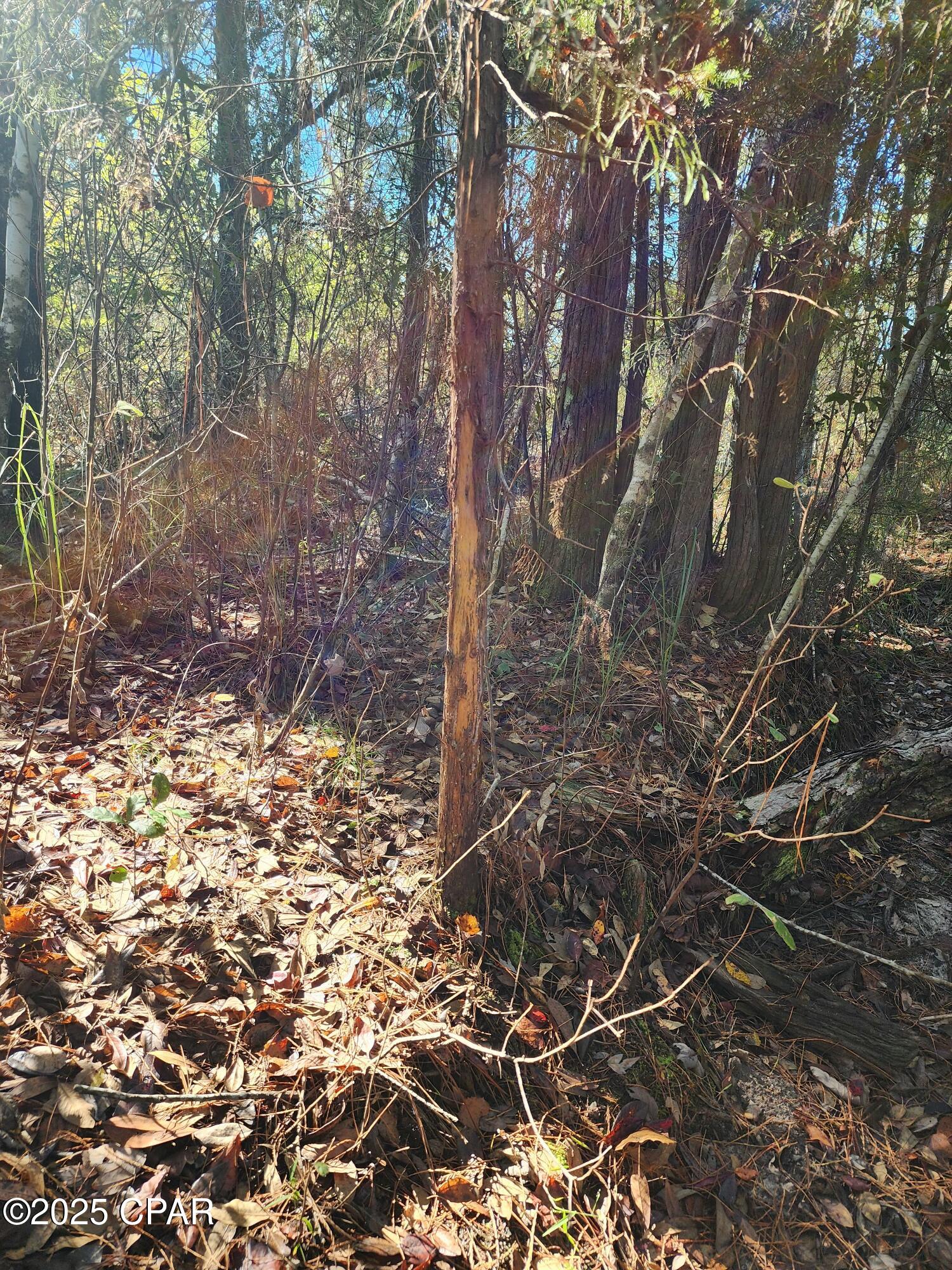 Iejv4jsjxebuho5gvfspqg4zfztnlmy2r3 Qtlzhwve