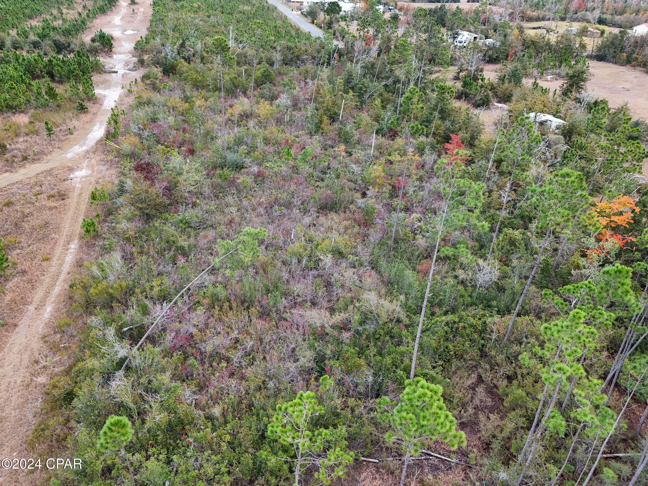 Image 9 For 0 Berthe  