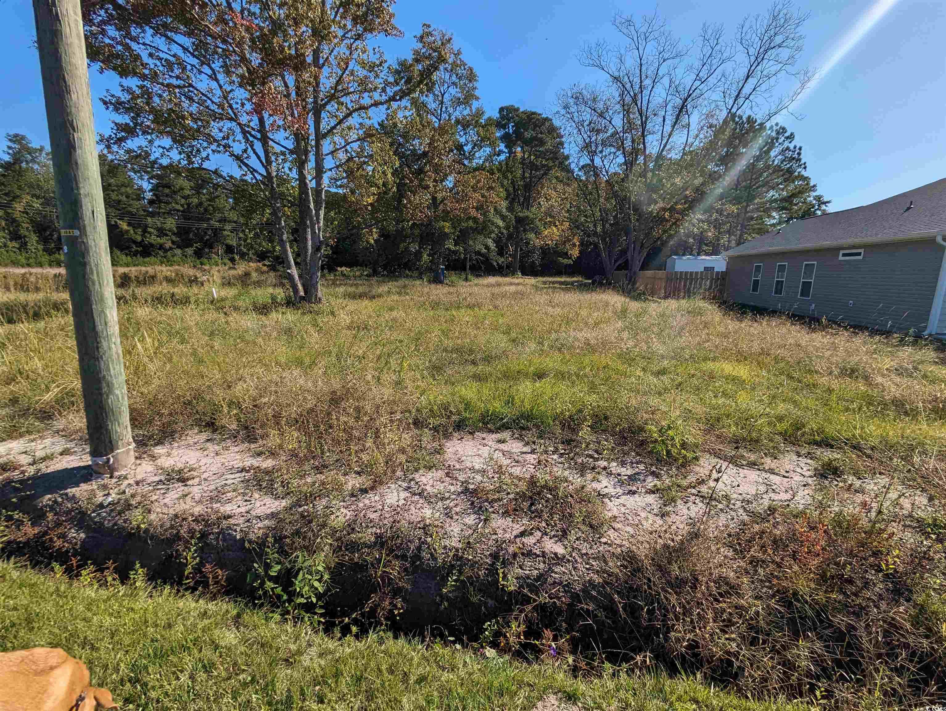 933 Hickman Rd. Tabor City, NC 28463