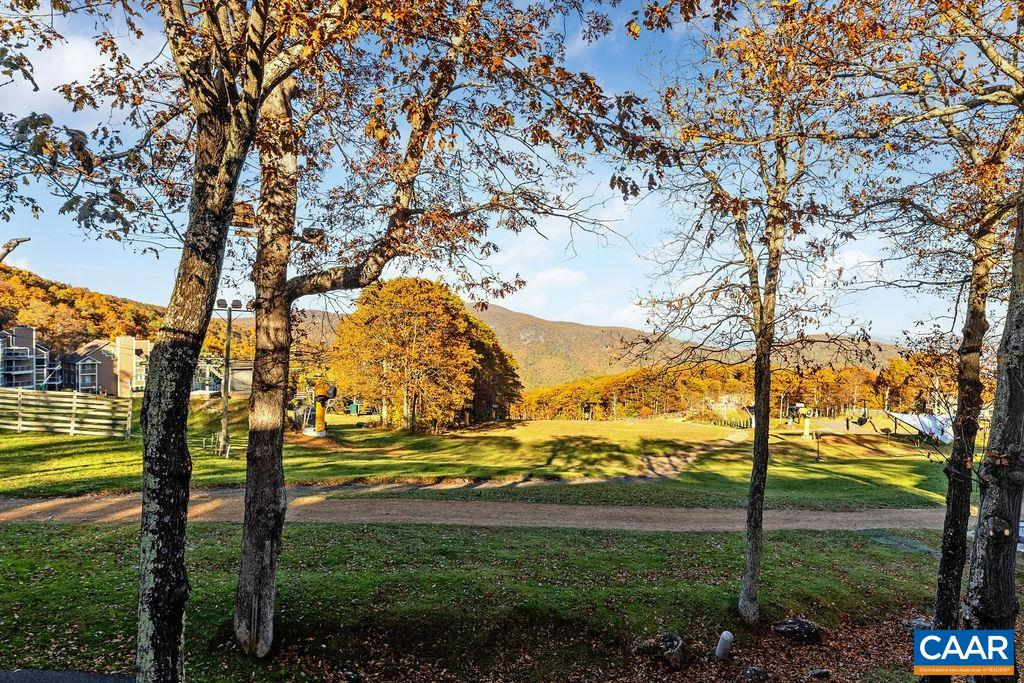 255 TIMBERS CONDOS, Wintergreen Resort, VA 22967