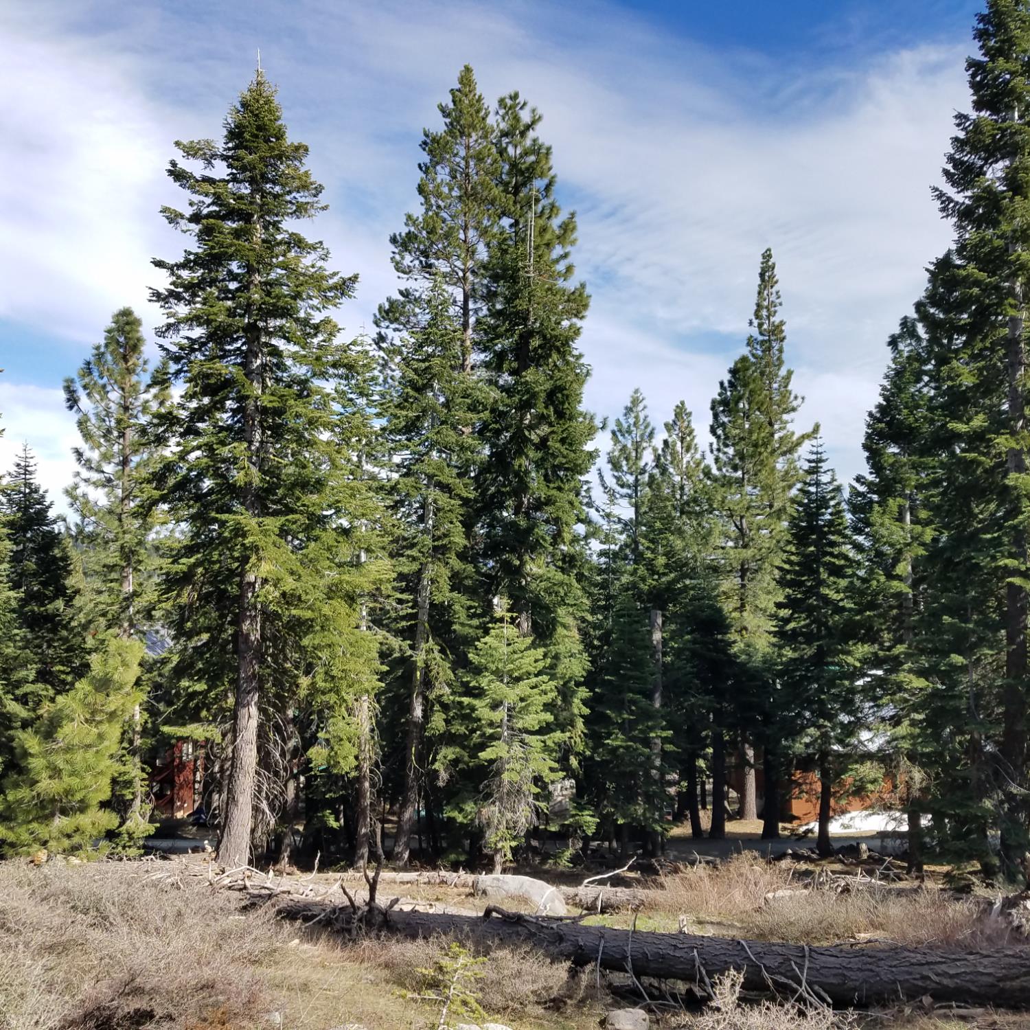 67 Station House Road