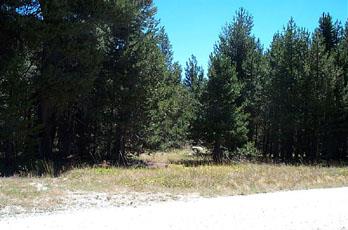 67 Station House Road