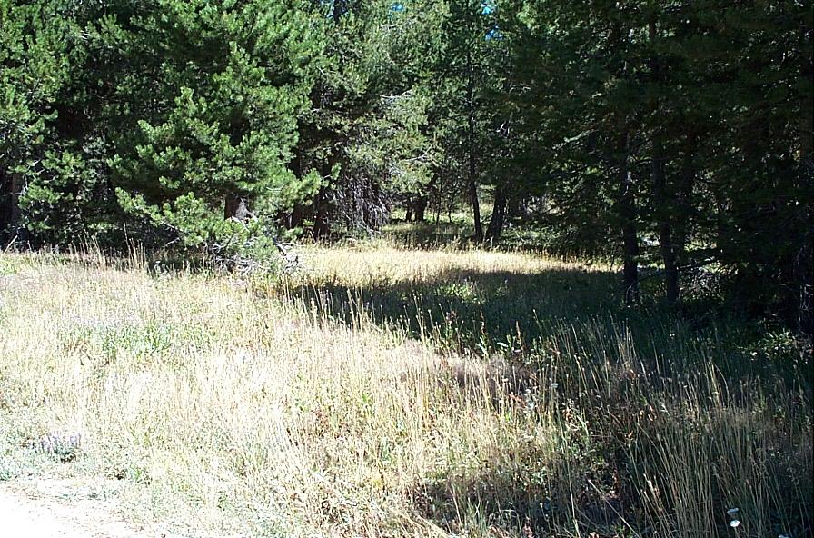 67 Station House Road