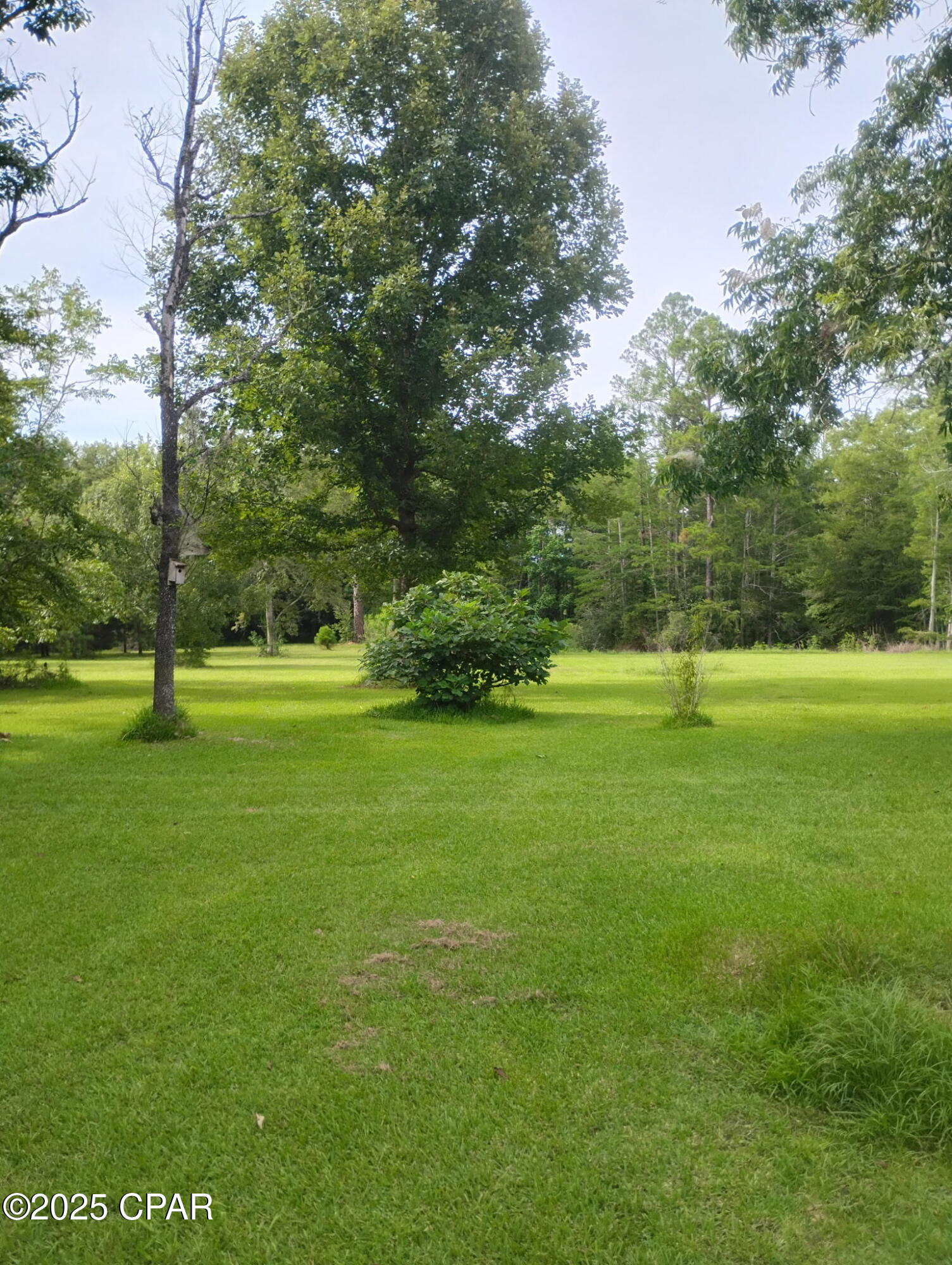 Vwxgppjt Kasvu1vi Bx8fugegqnc5af2evppgxhgny