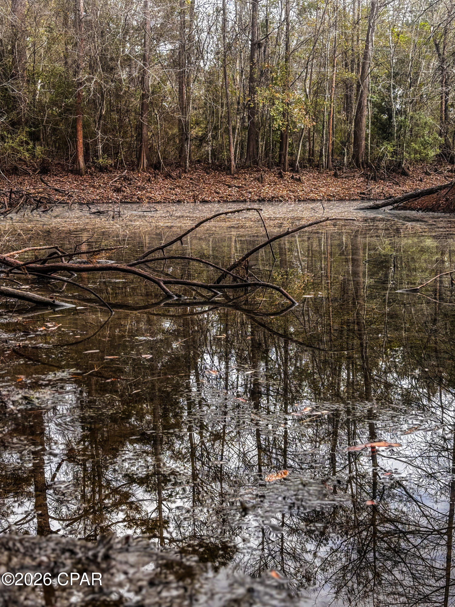 Xiup86mhvn6vuj6riu 0jkdjsw7frbasqcqqjnt4o1q