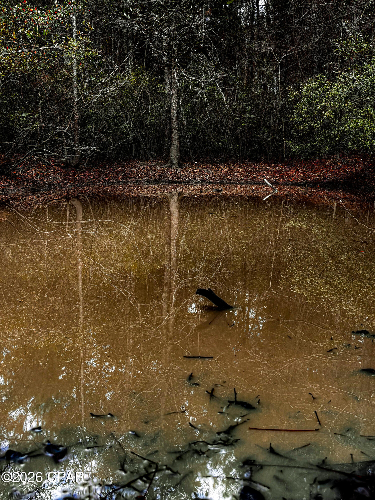 Bue88i5jugth9ftgsddwvyj9zgzxroxui0z_olwrh Y