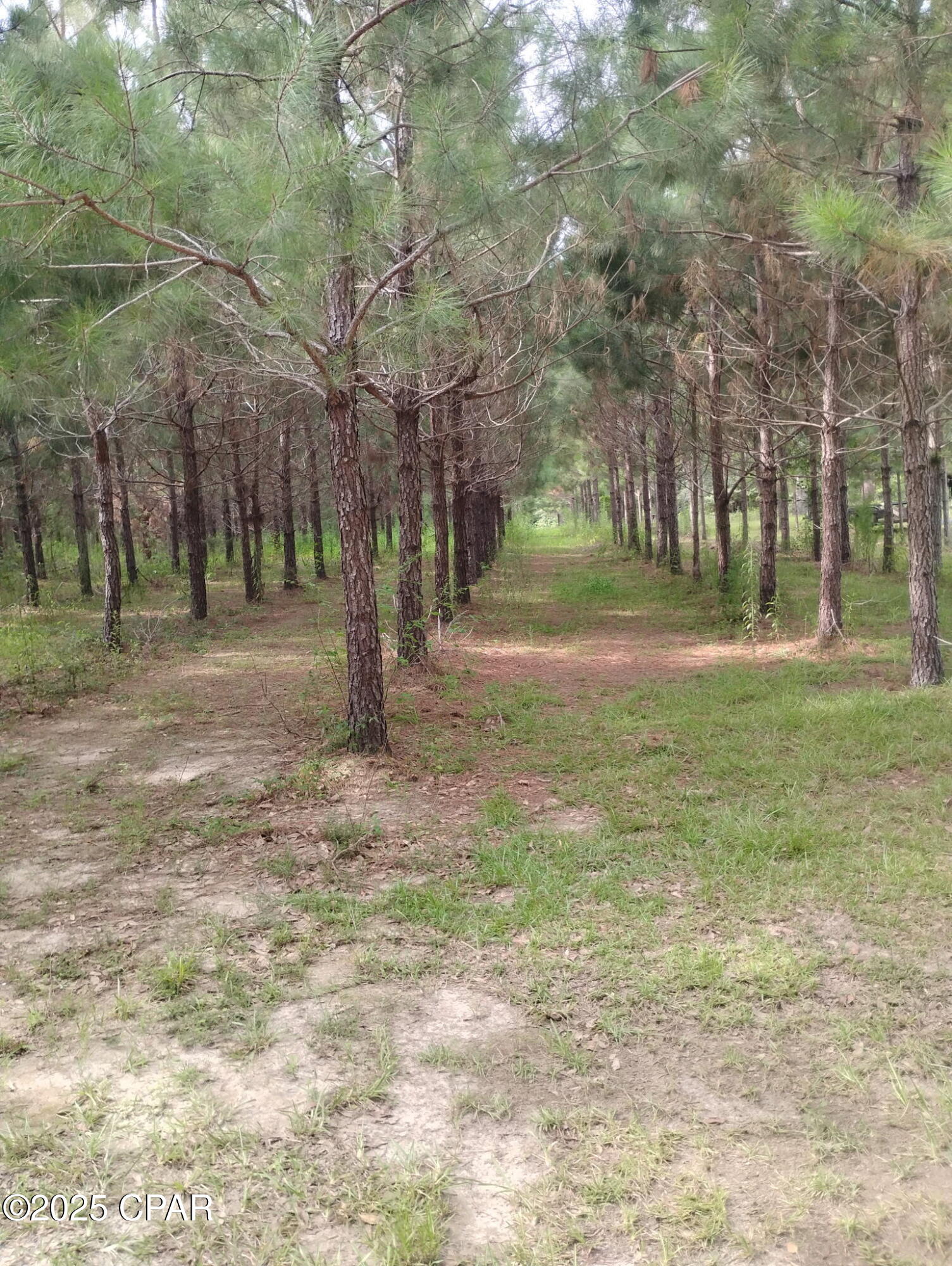 Ggtclnmltxmdkf7_jcmg5cnggaf0hbrt8s_zeckww8c