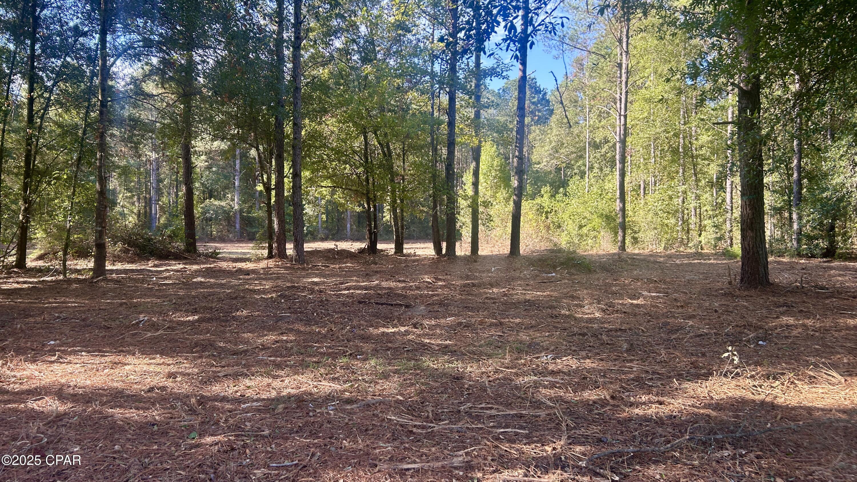 Bymyxfwya_x2jg5l3c0eqmucwrk5oo_pbbvsa4xd6qe