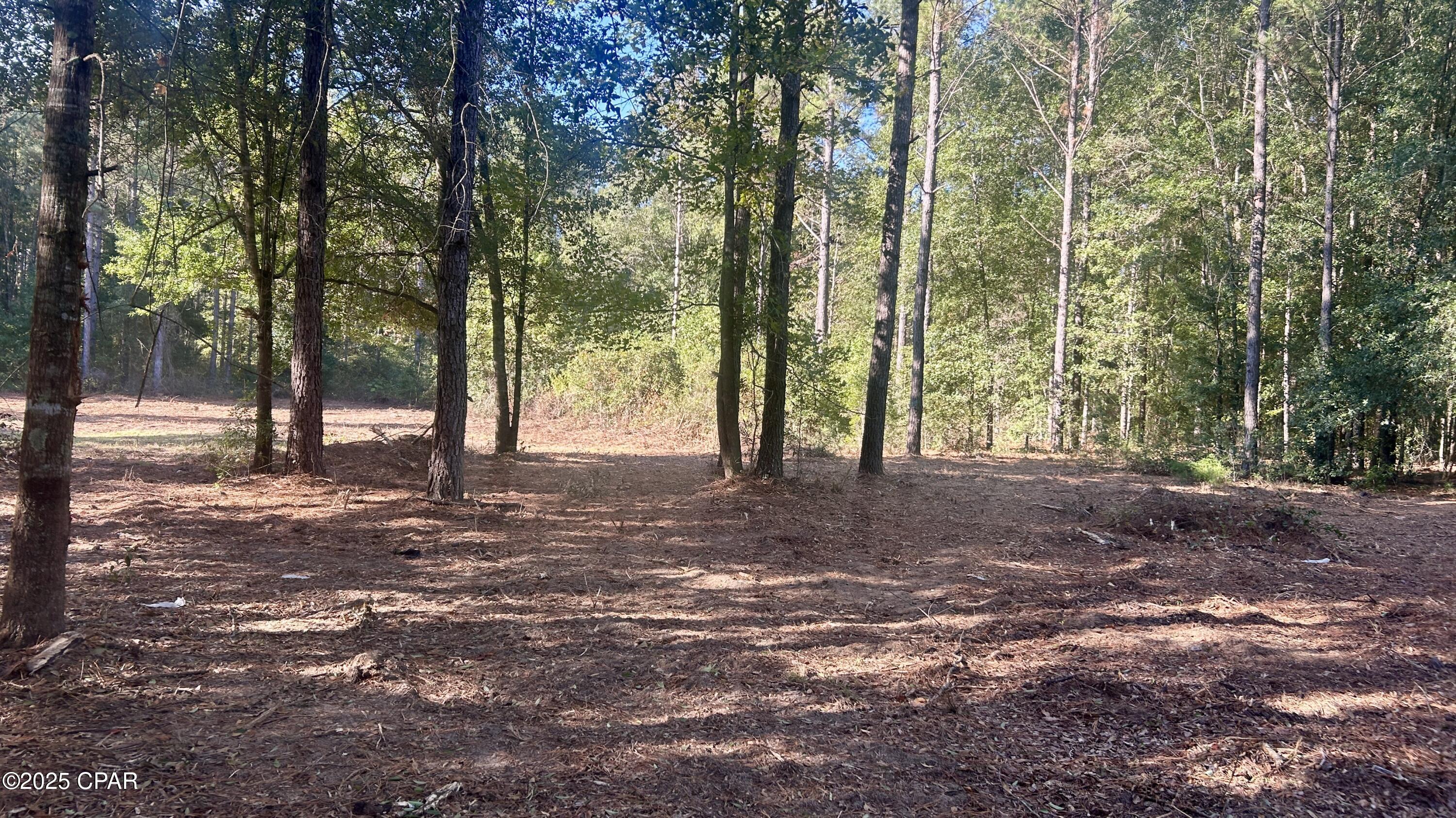 Twfybpufxtpiazm_vn6iykeowfrpjksx_4ncsrw0s U