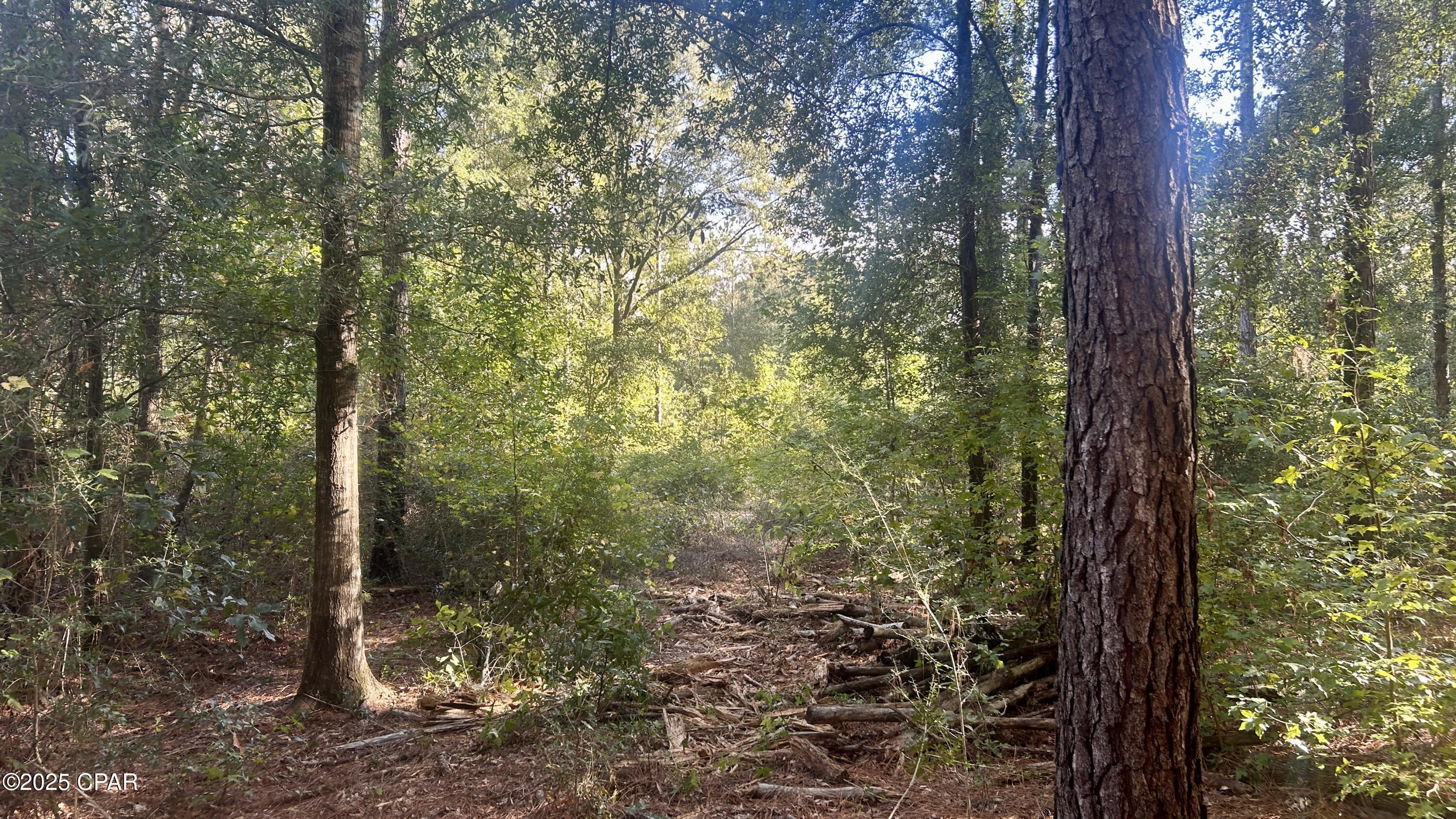 Vfe071no7ewy4ap2tk3o_mm91yqdnfna1vjtvz8uexm