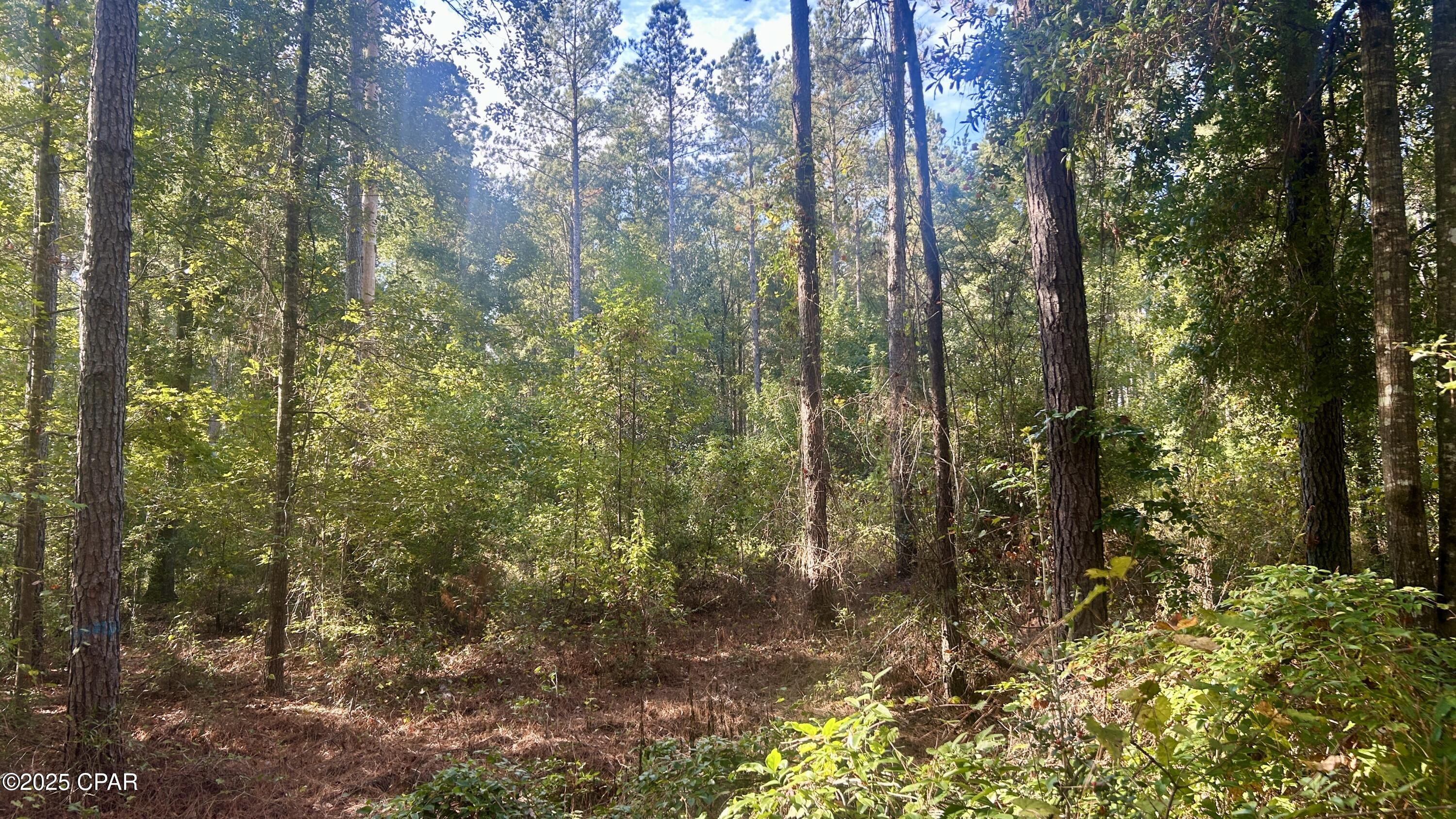 Vg9vr5g4zdoedfs9zxd3rjr2cjztzs0cugj2tlz4i3m