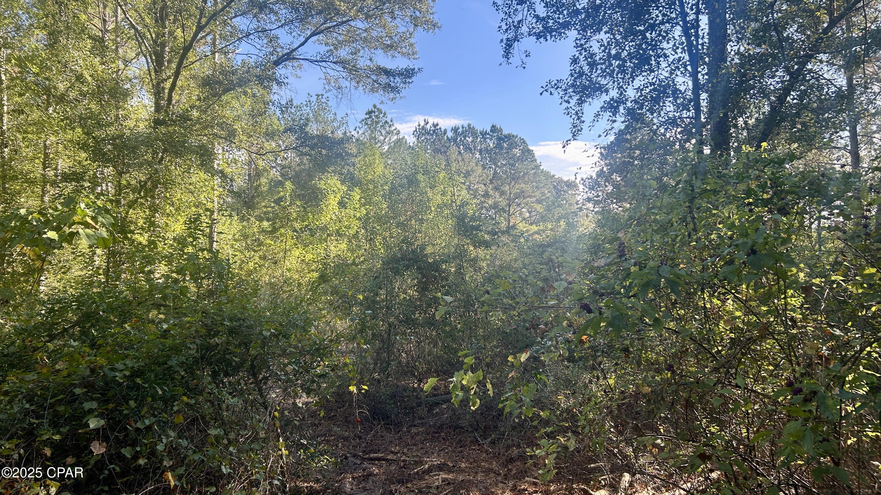 Syz9rl0dlpxqqnzlkud0ech4xspxbedaovnuqmylao0