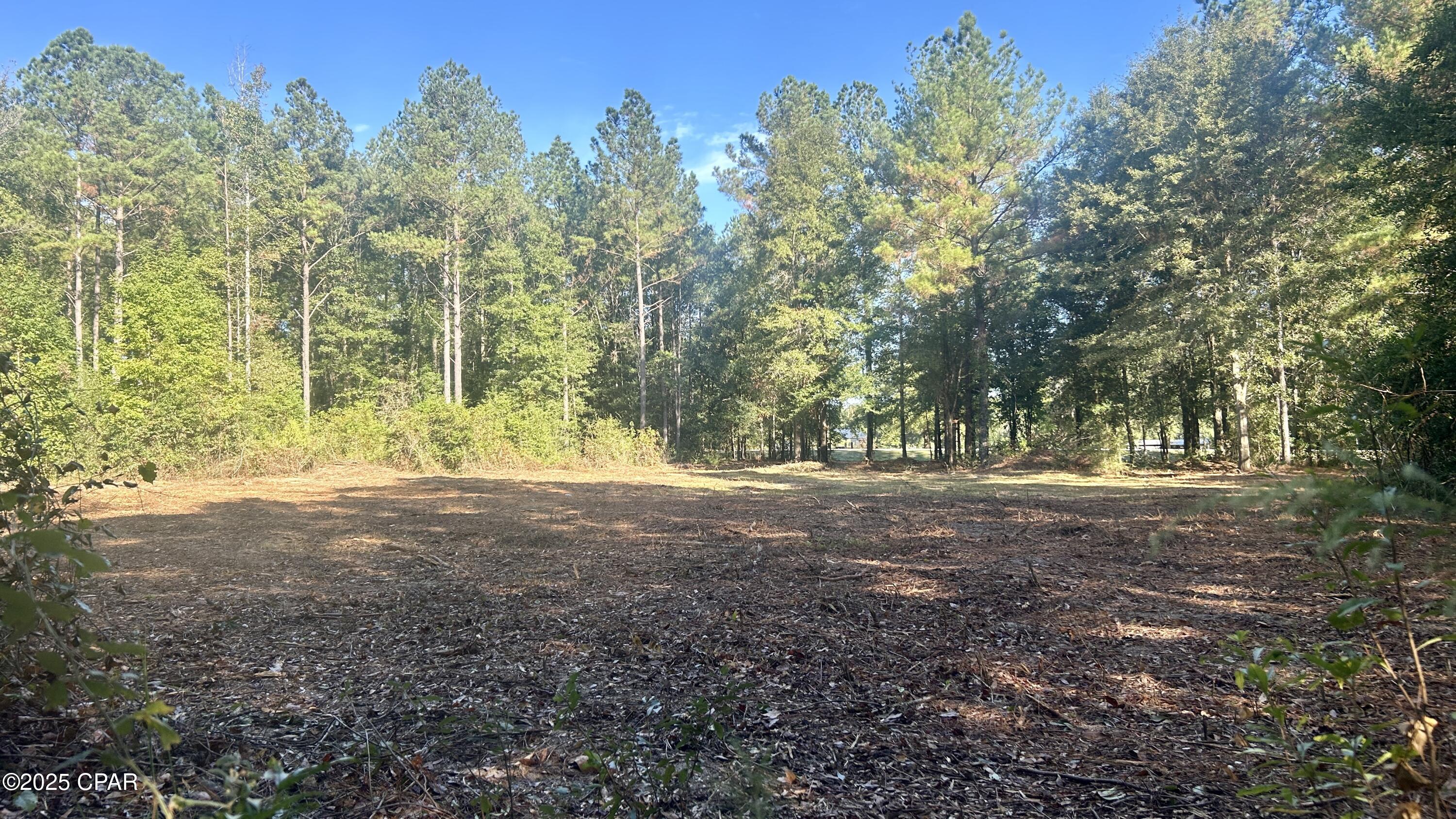 Zp0vtdcxvey Oshvx83rebagleyncippan6vtvlb4d4