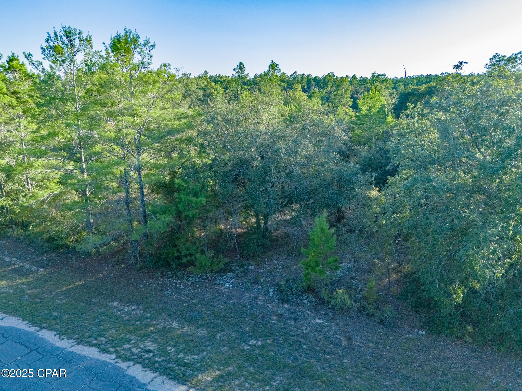 Image 15 For 0000 Shenandoah Boulevard Lot 3