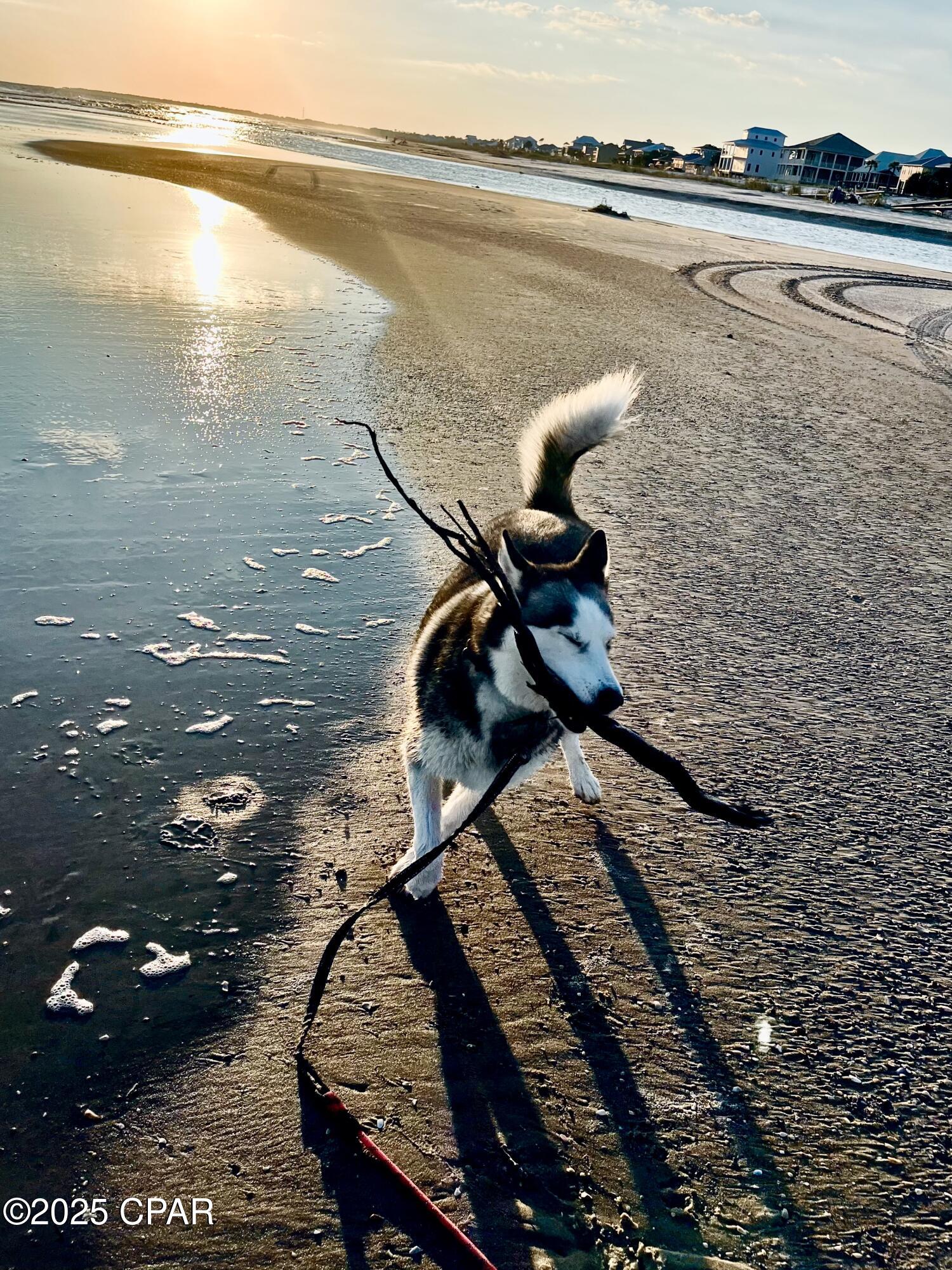 Wqdi Kv0k90t4iolew9wv0slsbnqrdnv6axlvhlkkak