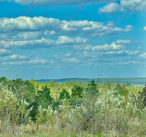 Image 6 For 0 Orange Hill Road