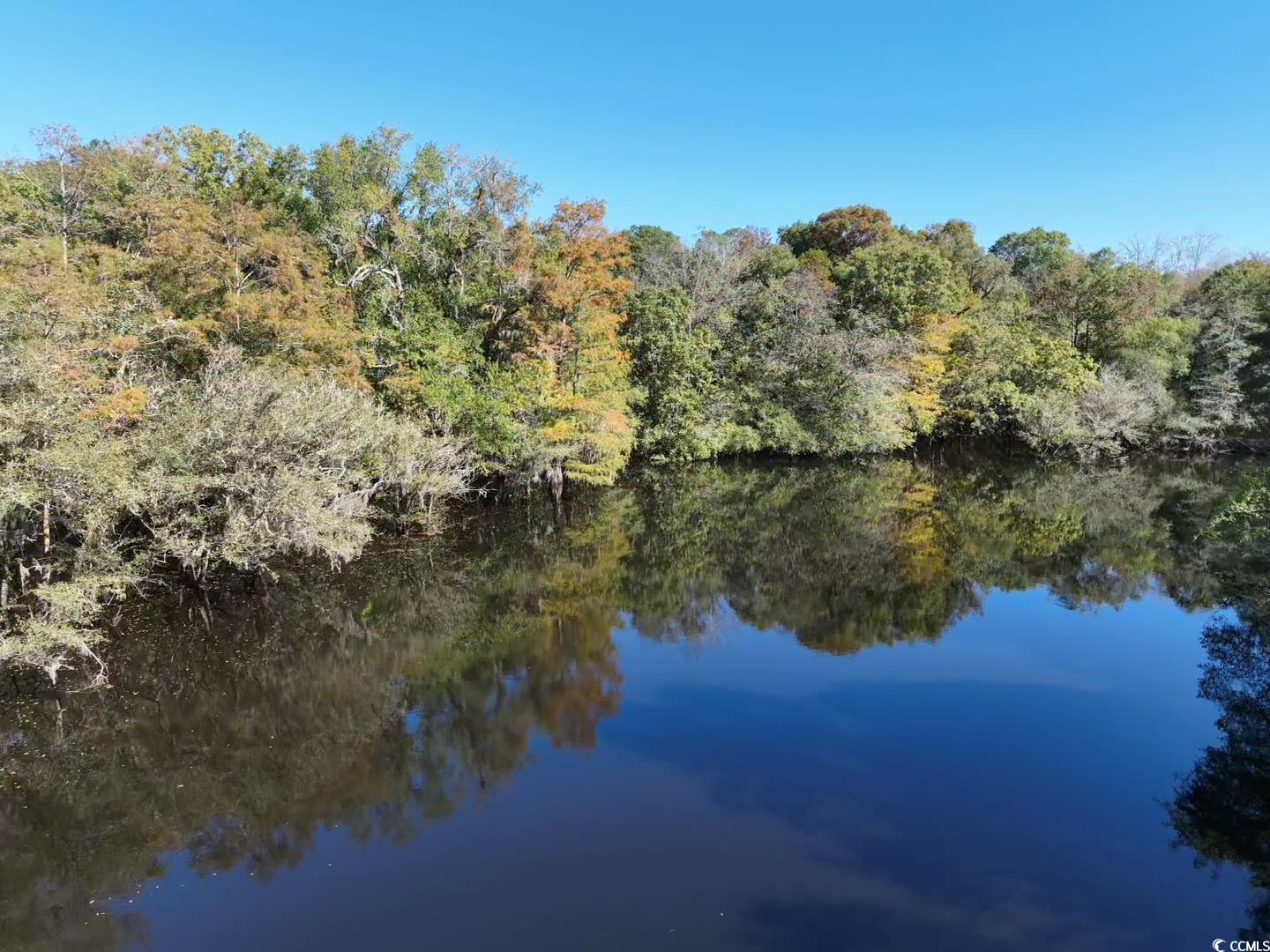 Martin Luther King Jr. Hwy. Kingstree, SC 29556