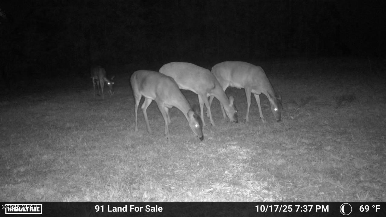 Sivhvobfvoartox8mm9djwn Td8yikksbdxd4ayfj3a