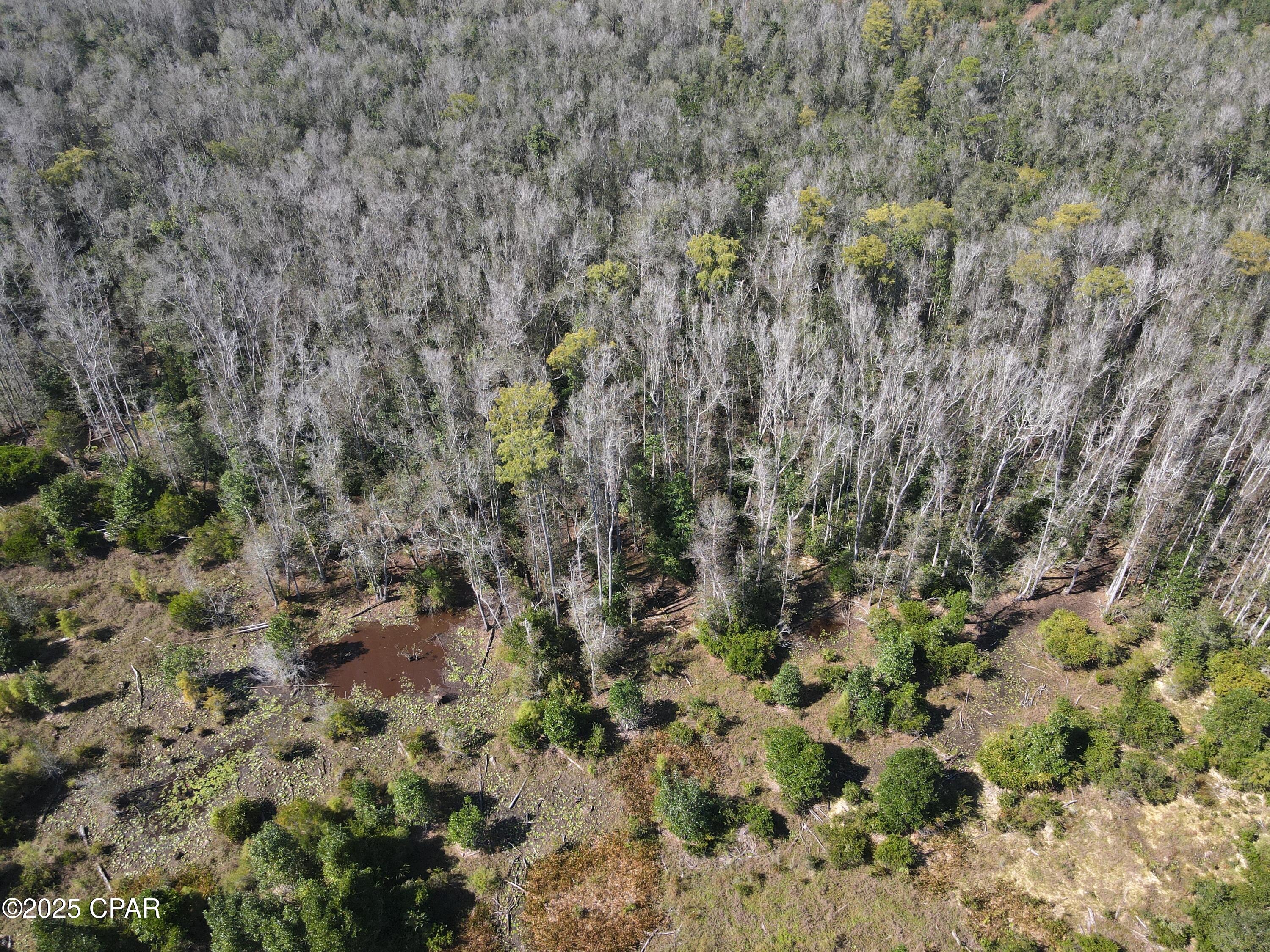 Scxa9jkyiiy4uwkkqmzycwpvt_ir6 Tmq6giijjusng