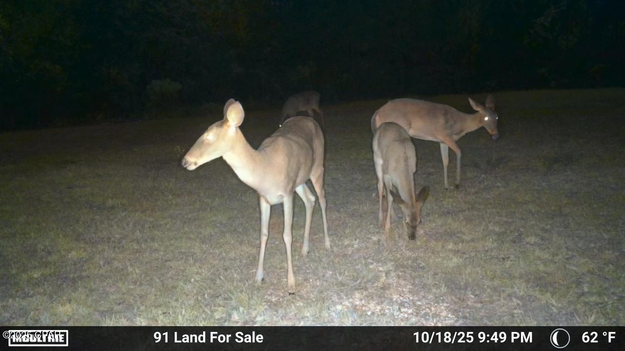 Pjuabtbns7iii8kdclucnicfpixc6nc Mz8sxcvdl88