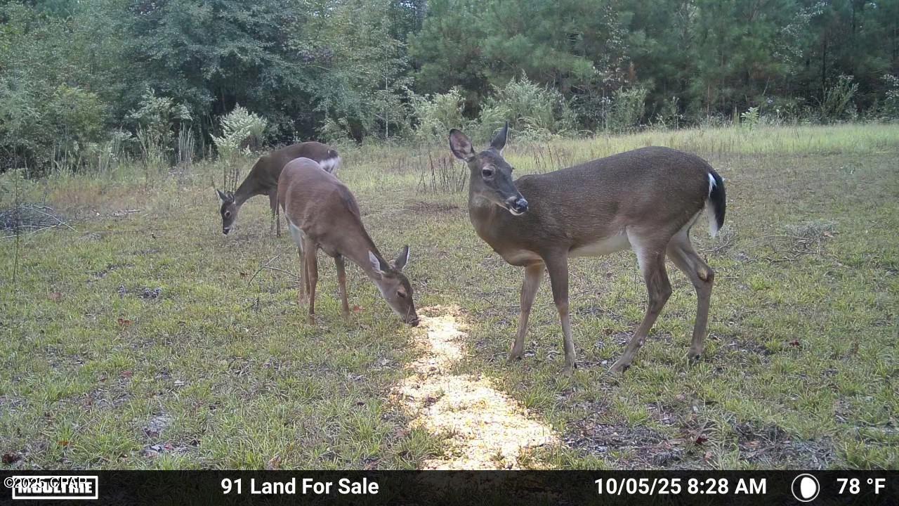 Xszo3vesneu_ieckiarlhjrag5g Qtftn8kfwtbgfwg