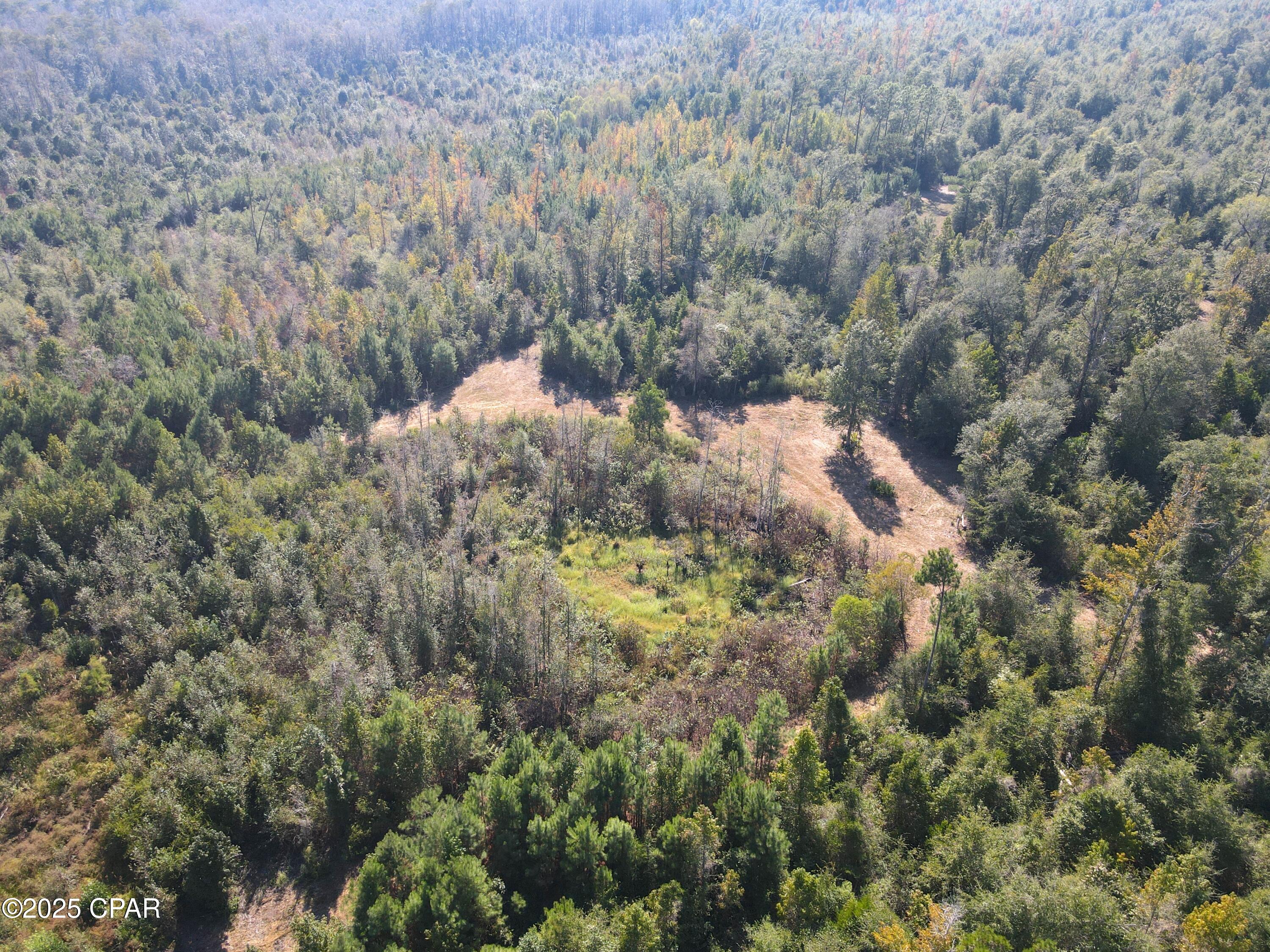 Zyziumht10yi3lsnejmwejgfcsbyyusjxnnft4fp368