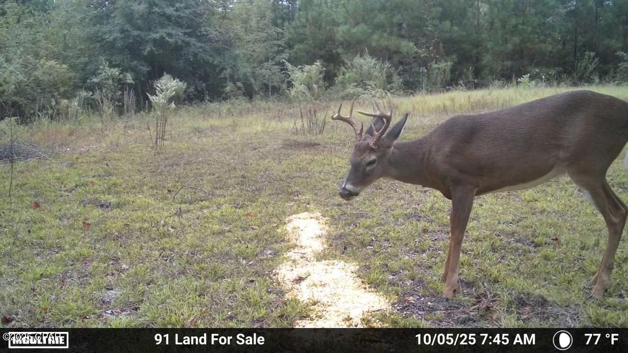  Mkao9qgrtzdmyy89rc8jks3mzgi69qeevdfmsv6pca