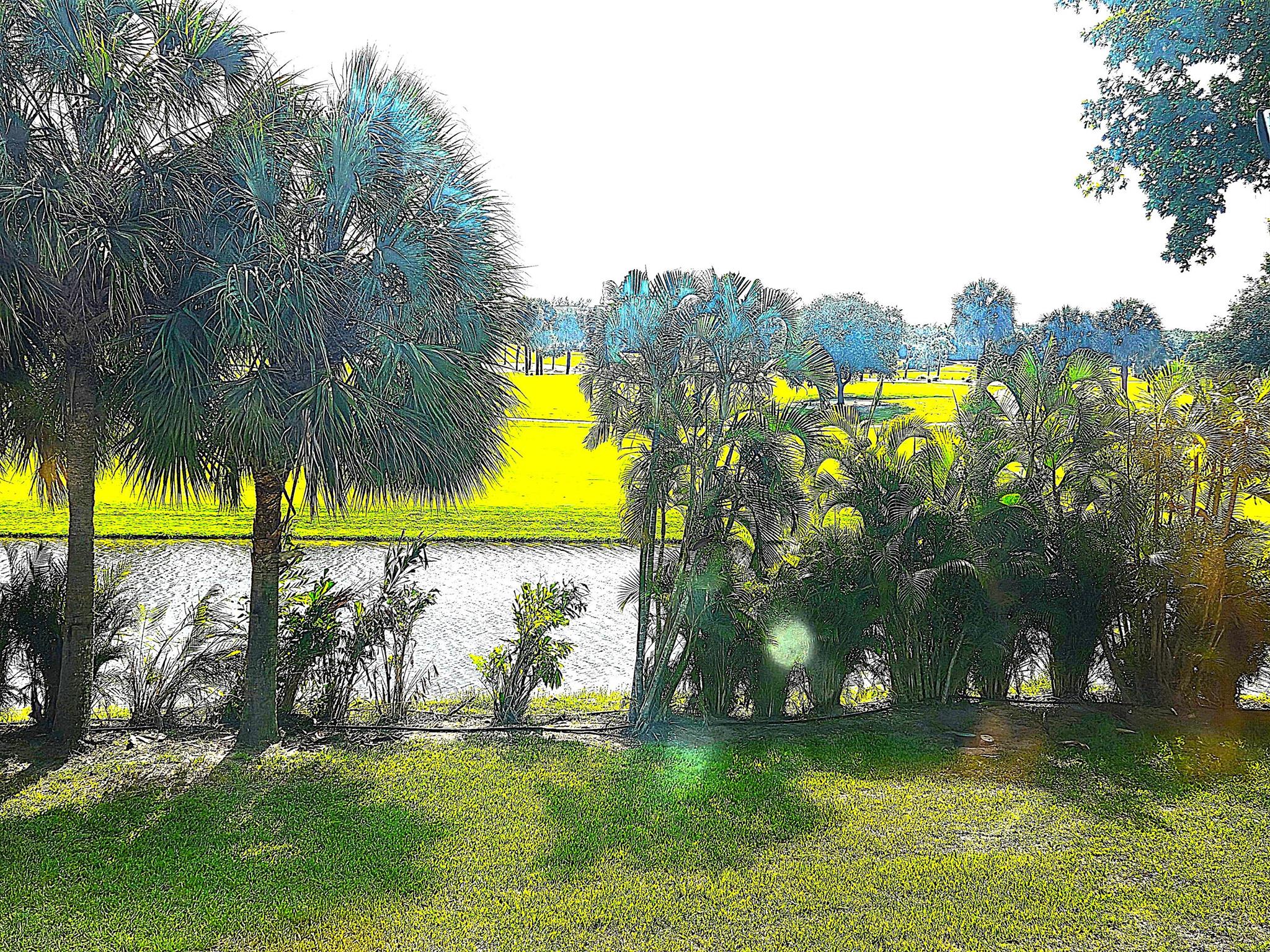 Lands Of The President Co