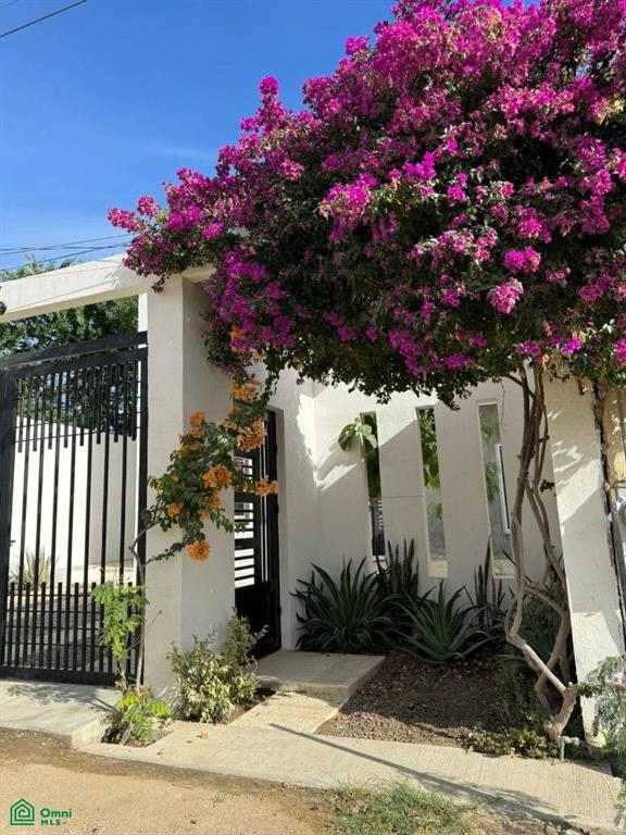 ACANTILADO MZ 78 LT2, Los Cangrejos, Los Cabos, Baja California Sur