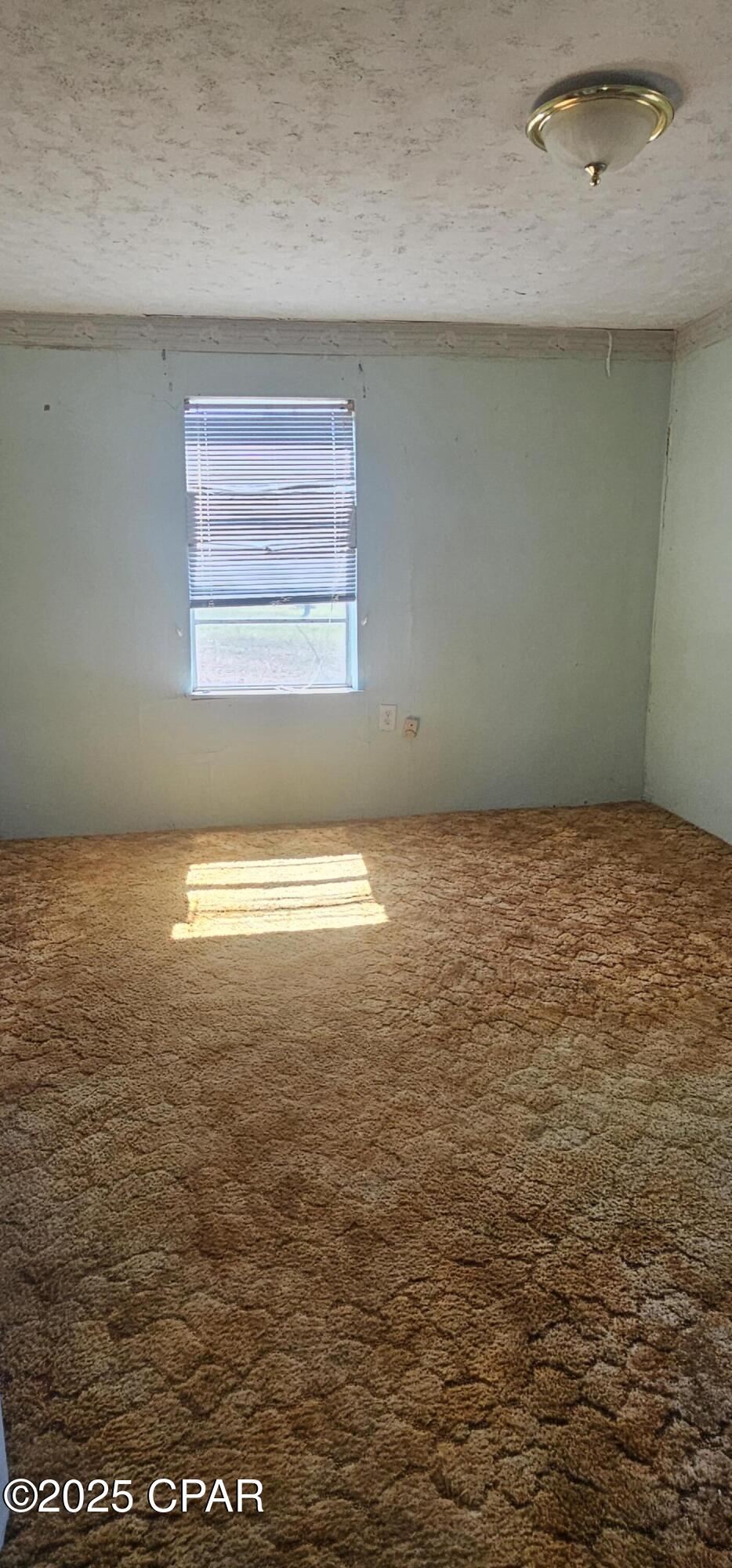 3tkuyxaxxbqzf7ir7nnacyfnolciknftdzgfsv48rkk