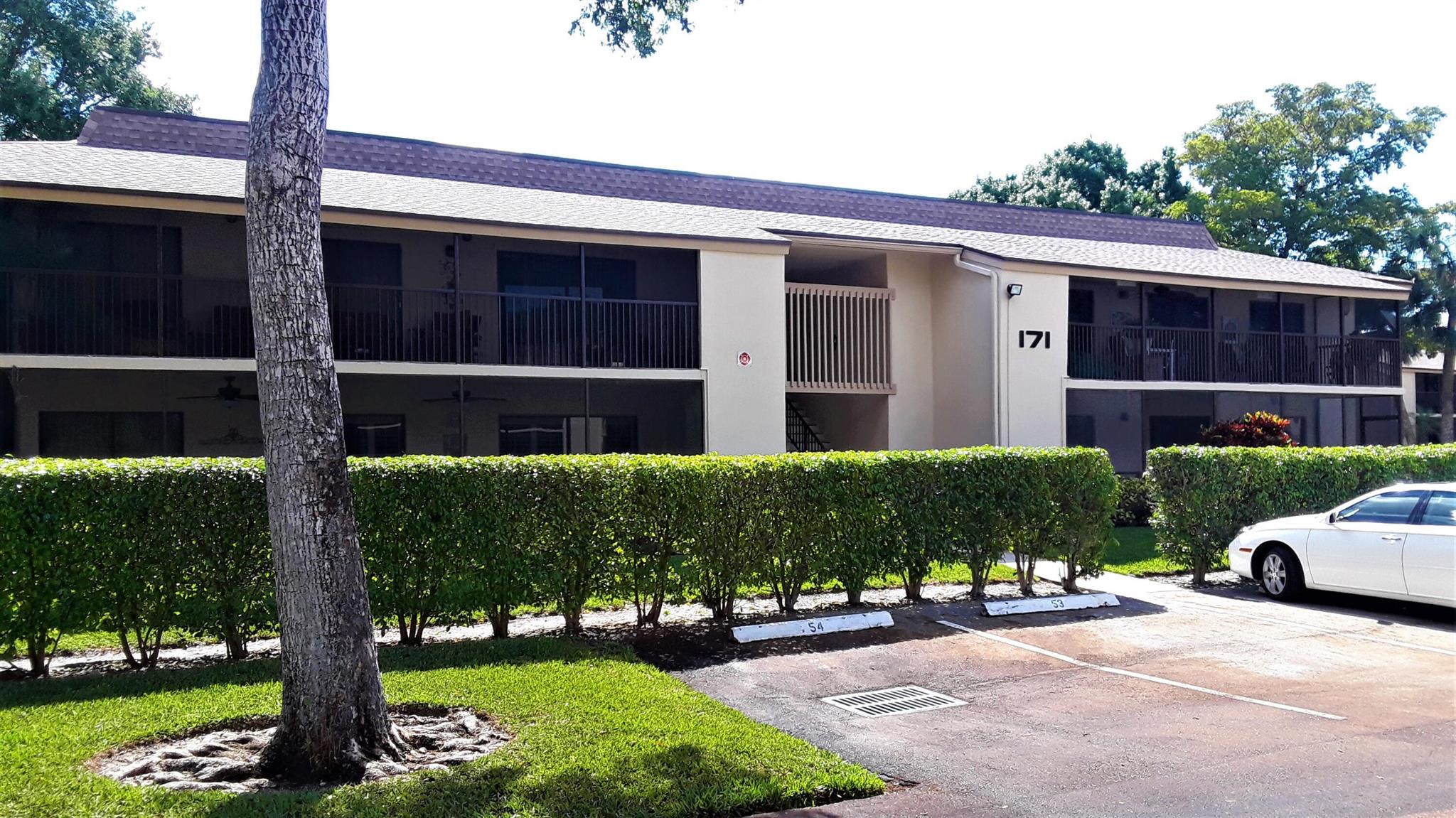 Hidden Woods Of Deer Cree