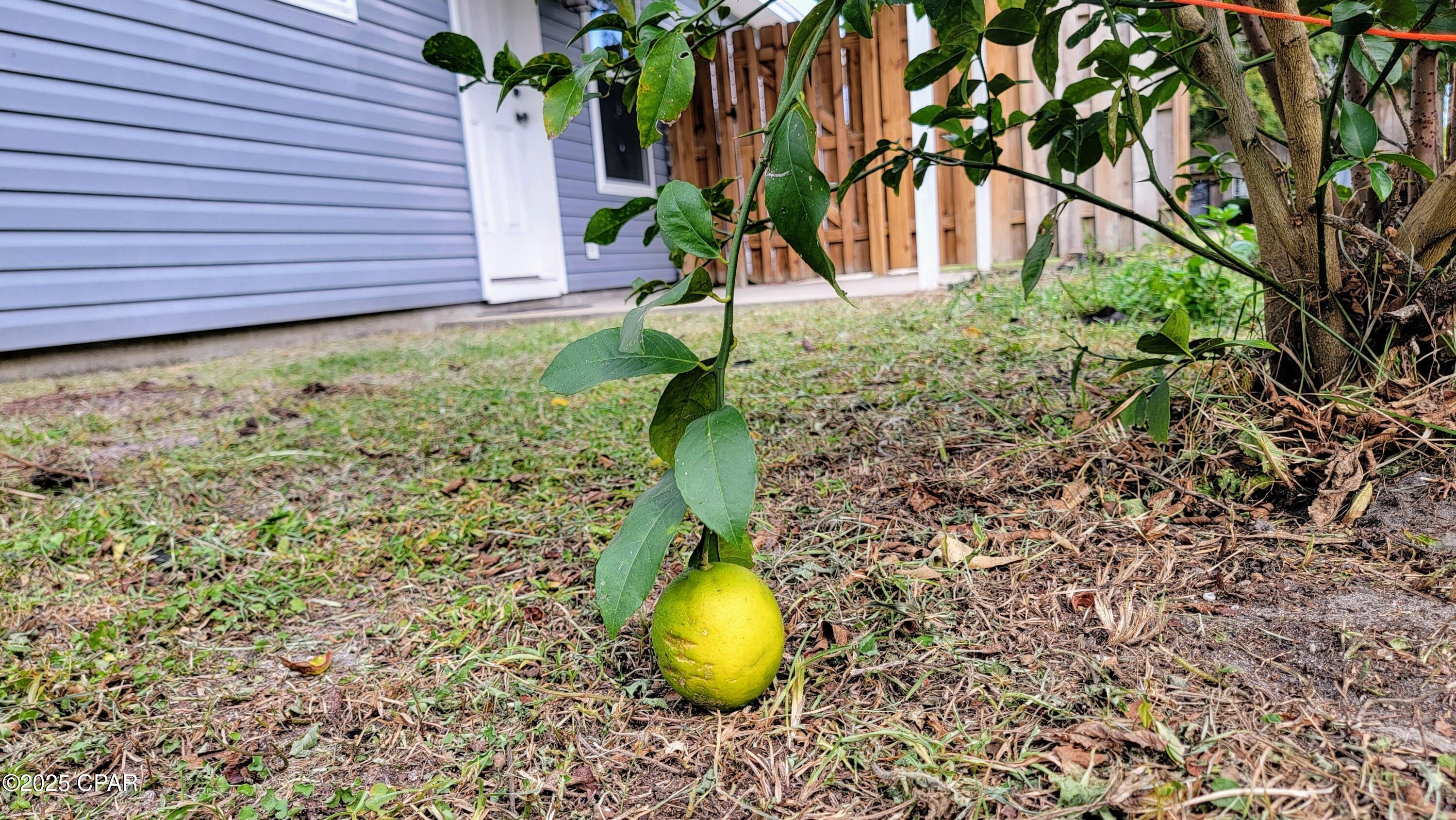 Qdg0ktusjgbmtppqqioiwoxt1cpqzjlamc8_q3nswrc