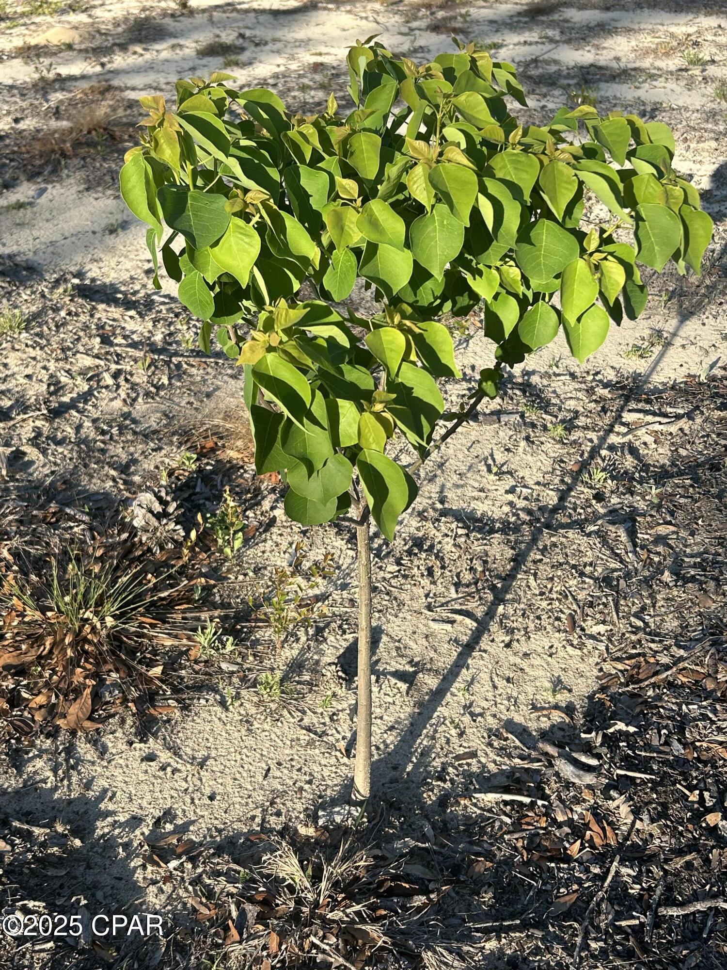 Eua4mpblzzssogz8gzsiu1lpddvrv3ox6nqolxytdgq