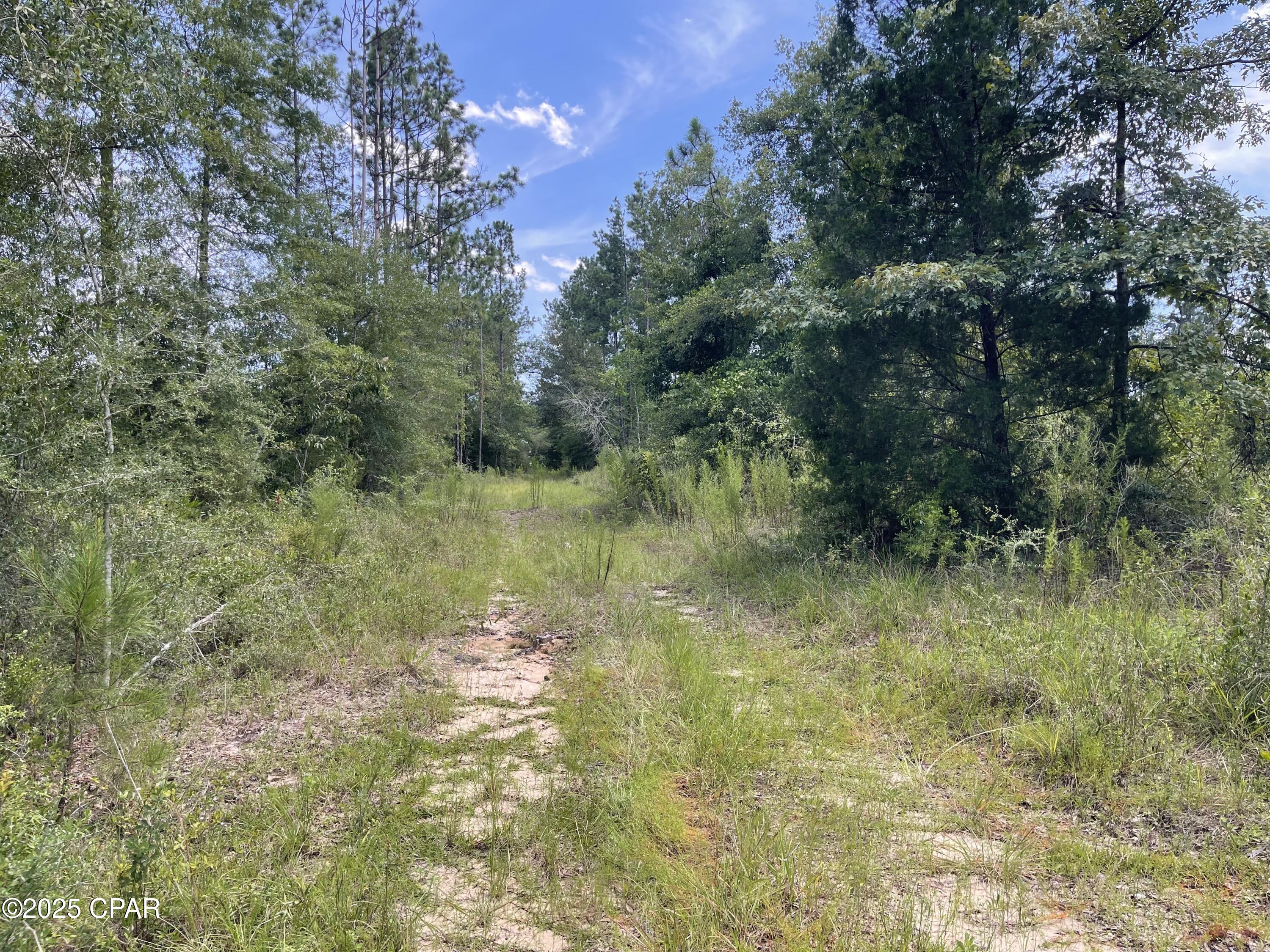 Image 12 For 2826 Irene Street