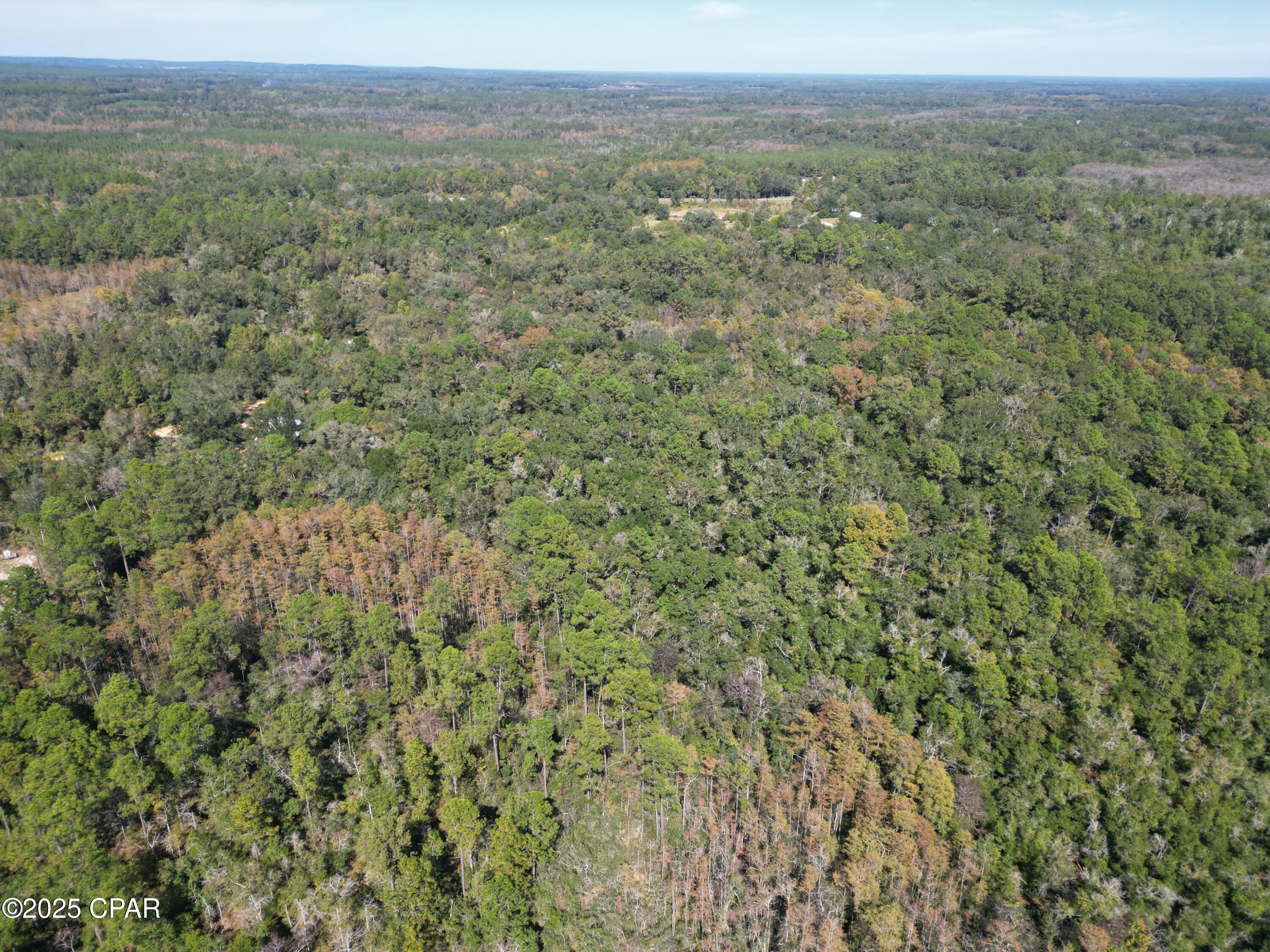 Image 2 For 2826 Irene Street