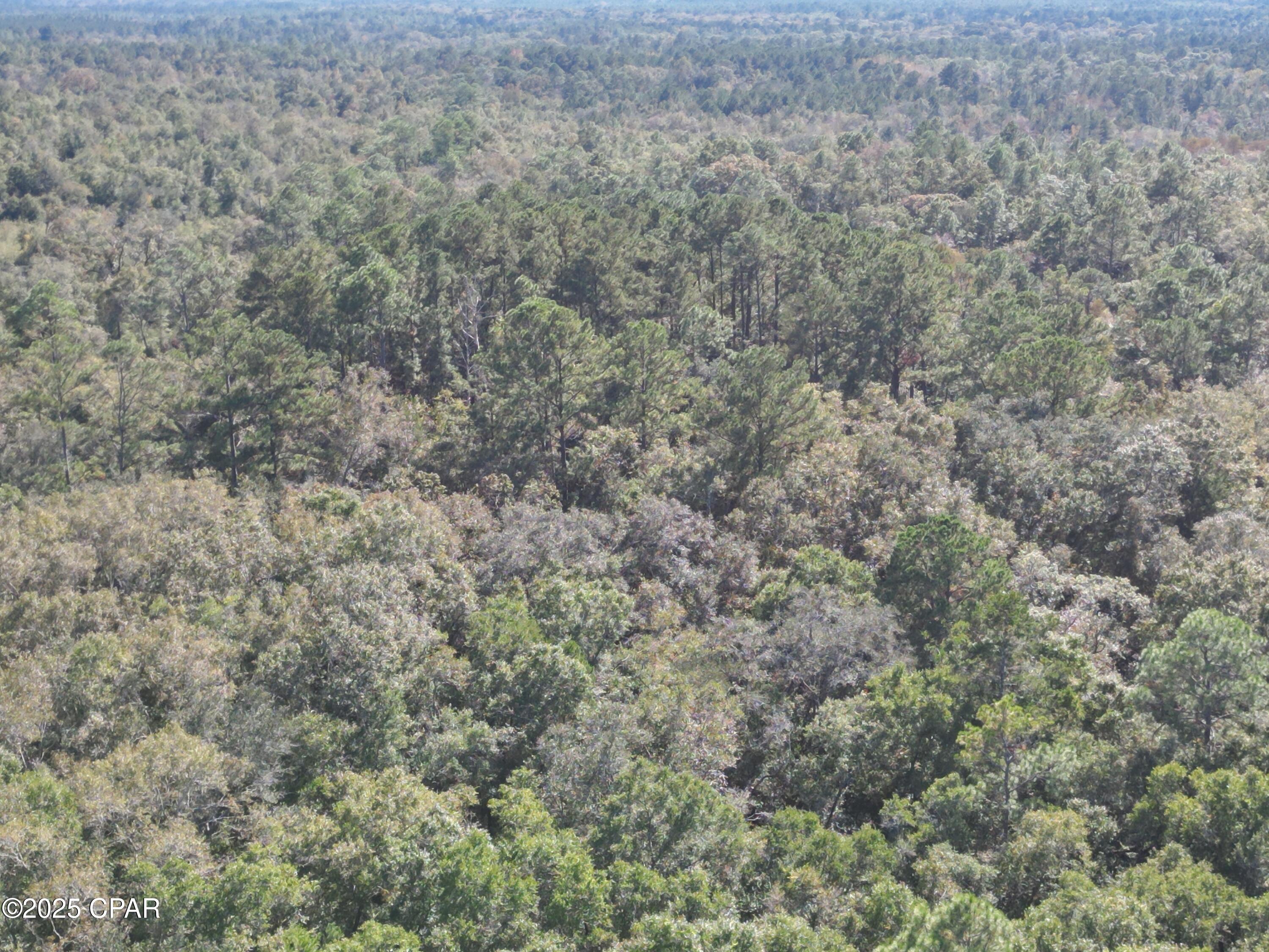 Image 3 For 2826 Irene Street