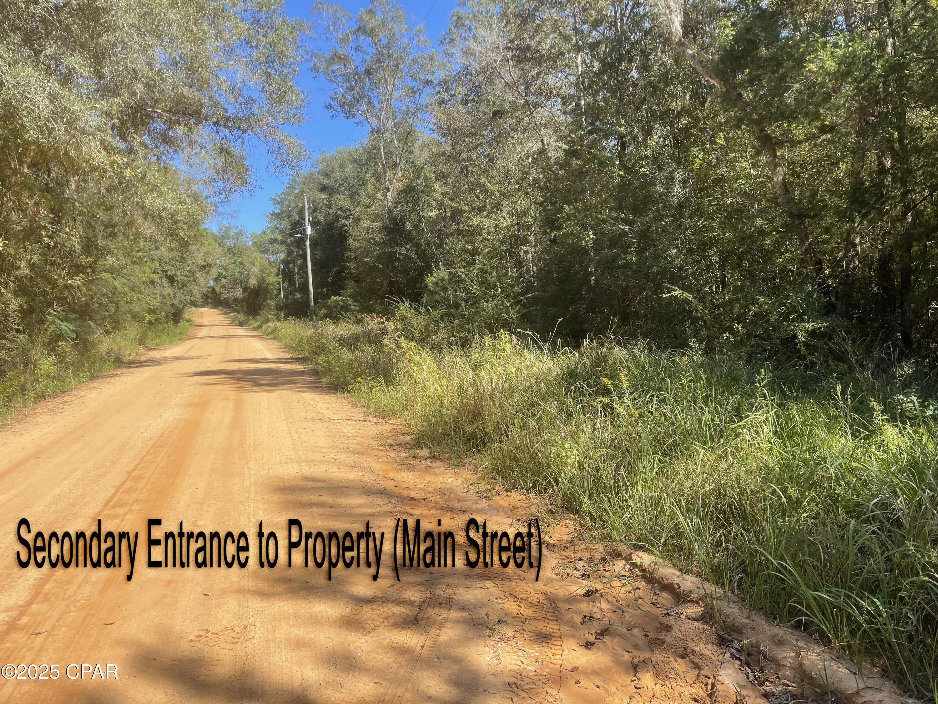 Image 43 For 2826 Irene Street