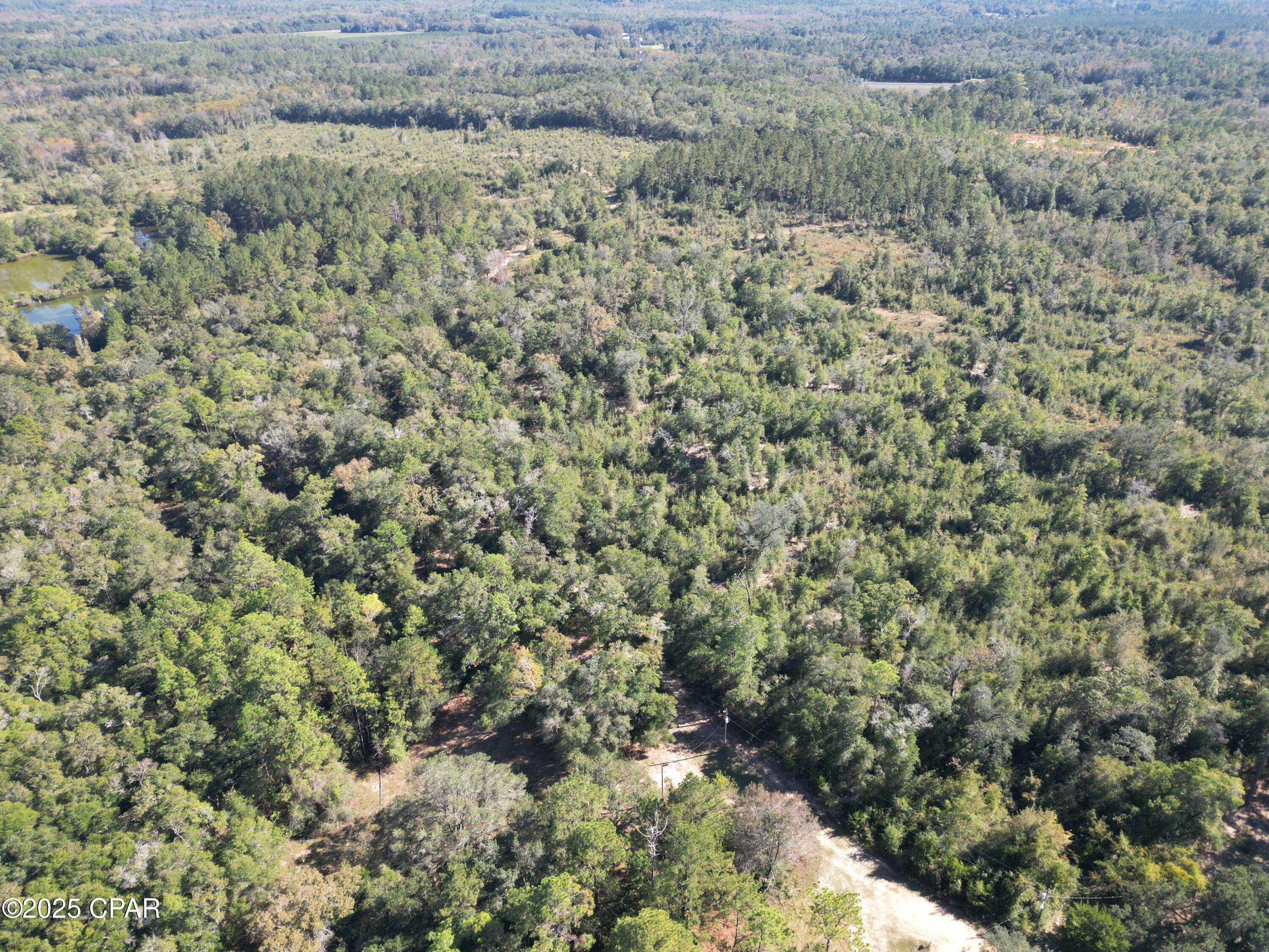 Image 7 For 2826 Irene Street